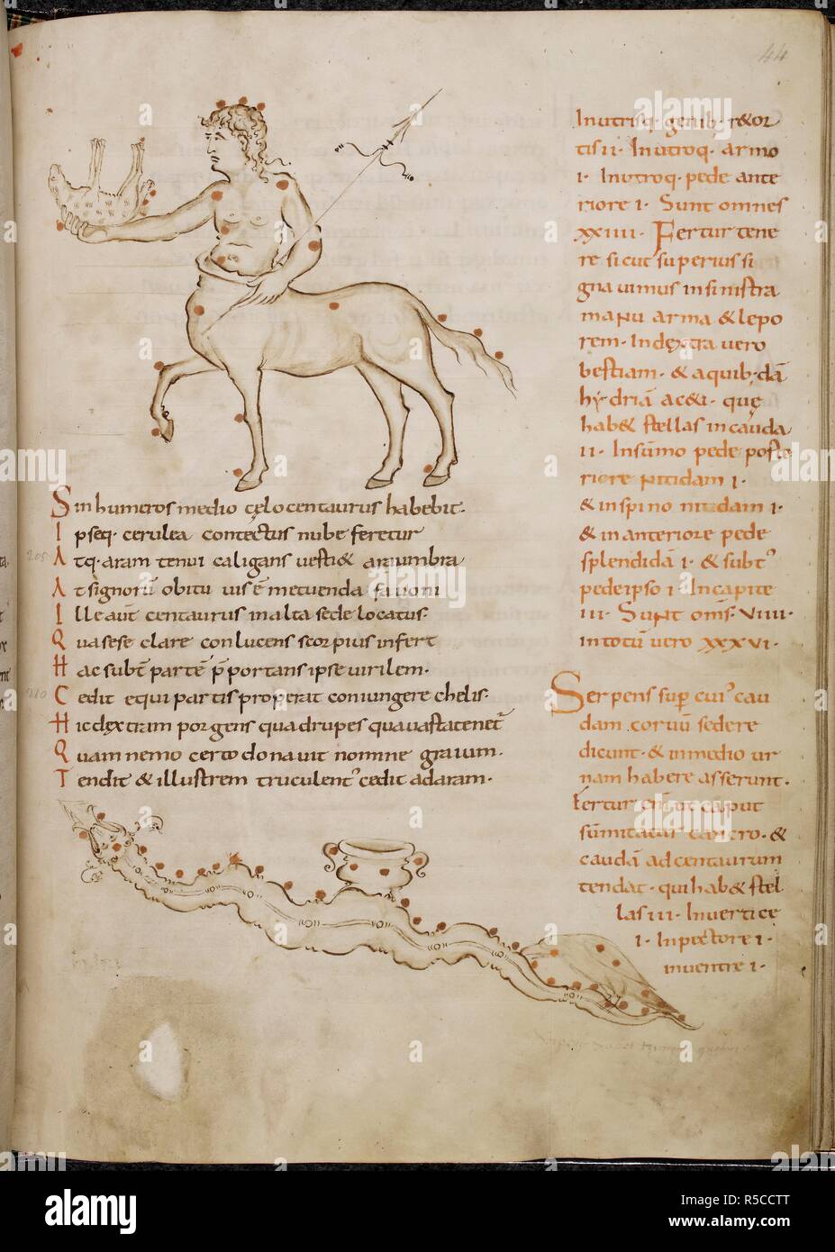 Disegni delle costellazioni (Centauro Centauro), che allunga la mano verso l'altare, tenendo la Bestia (FERA), e di seguito, Hydra. Aratea Phaenomena o. Francia, N. (Fleury?); ultimo trimestre del decimo secolo. Fonte: Harley 2506 f.44. Lingue: Latina. Foto Stock