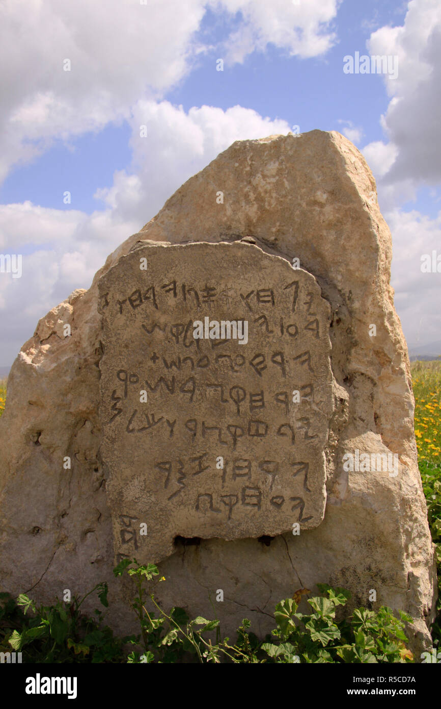 Israele, sud della pianura costiera, ingrandita modello di Gezer calendario un decimo secolo a.c. iscrizione su di una tavoletta di calcare Foto Stock