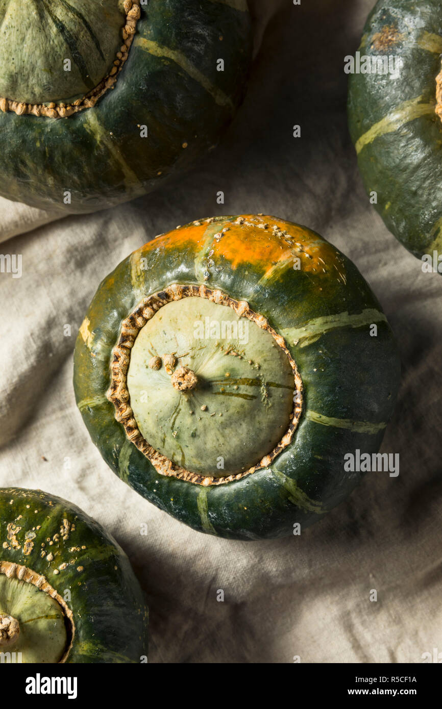 Raw ranuncolo organico Squash pronti per il taglio Foto Stock