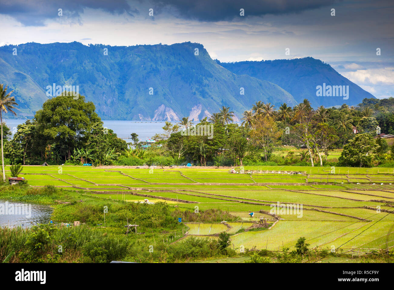 Indonesia, Sumatra, isola di Samosir, Lago Toba, Foto Stock