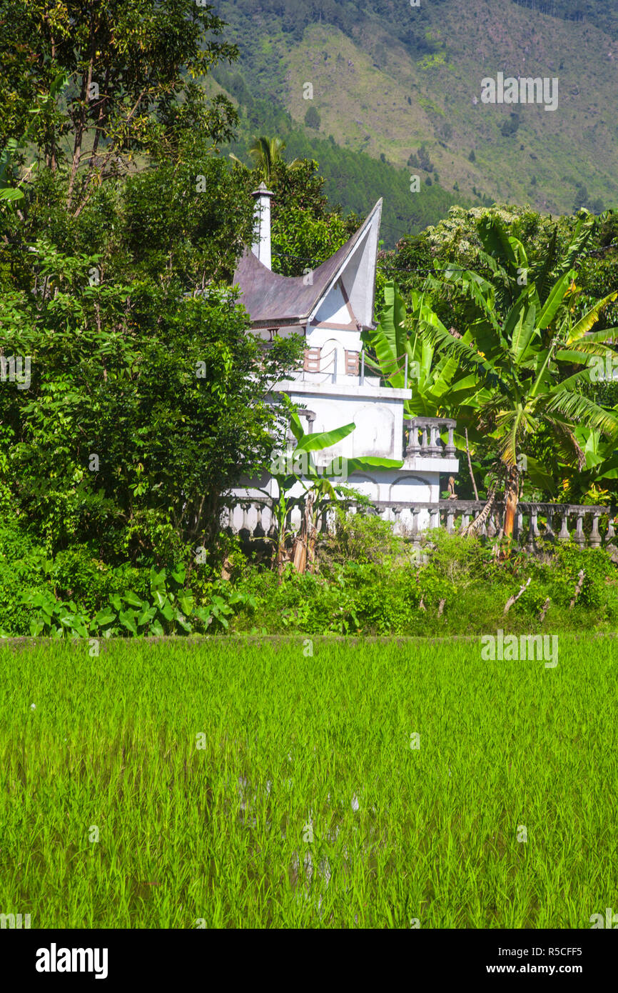 Indonesia, Sumatra, isola di Samosir, Lago Toba, Tomba nel campo di risone Foto Stock
