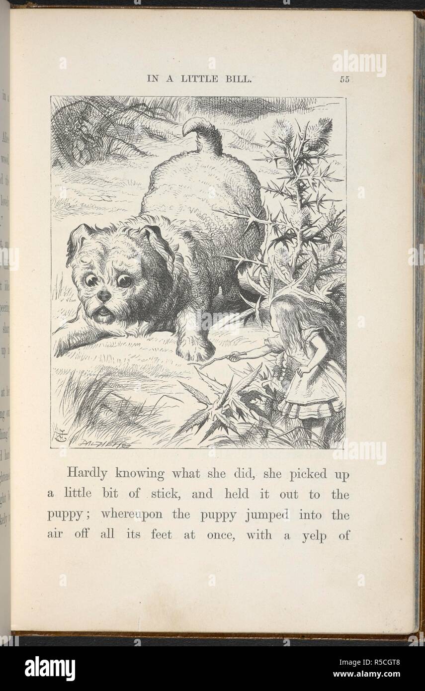 Il Gigante cucciolo. . Alice nel Paese delle Meraviglie. Con quaranta due illustrazioni di John Tenniel. Londra : Macmillan & Co., 1866 [1865]. Fonte: C.59.g.11, pagina. Foto Stock