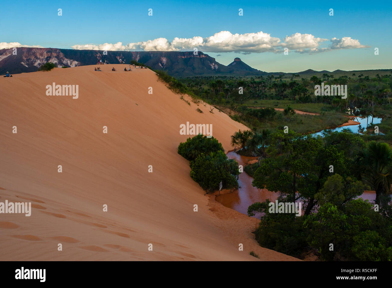 Dunas do Jalapão Foto Stock