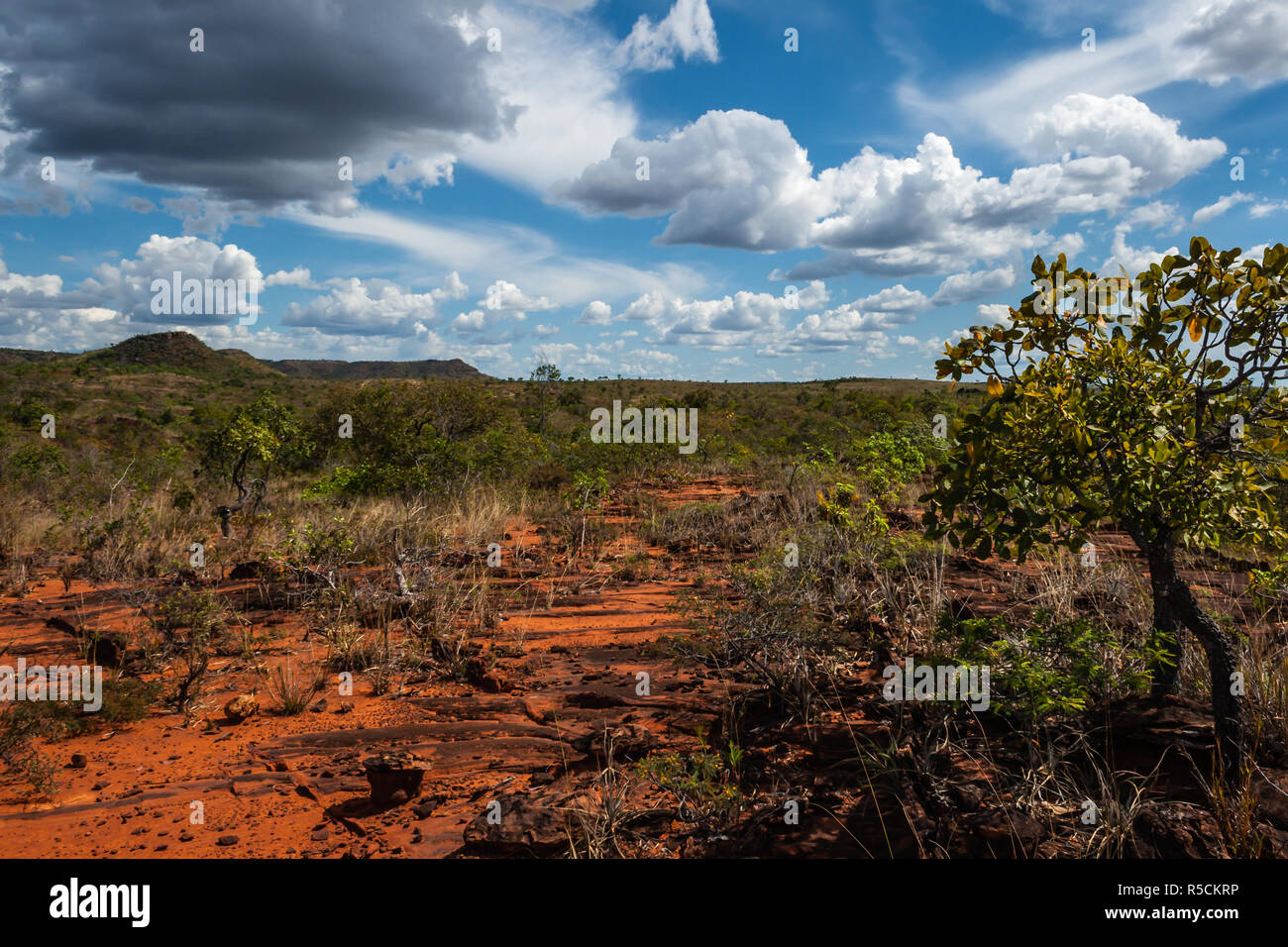 O Cerrado Foto Stock