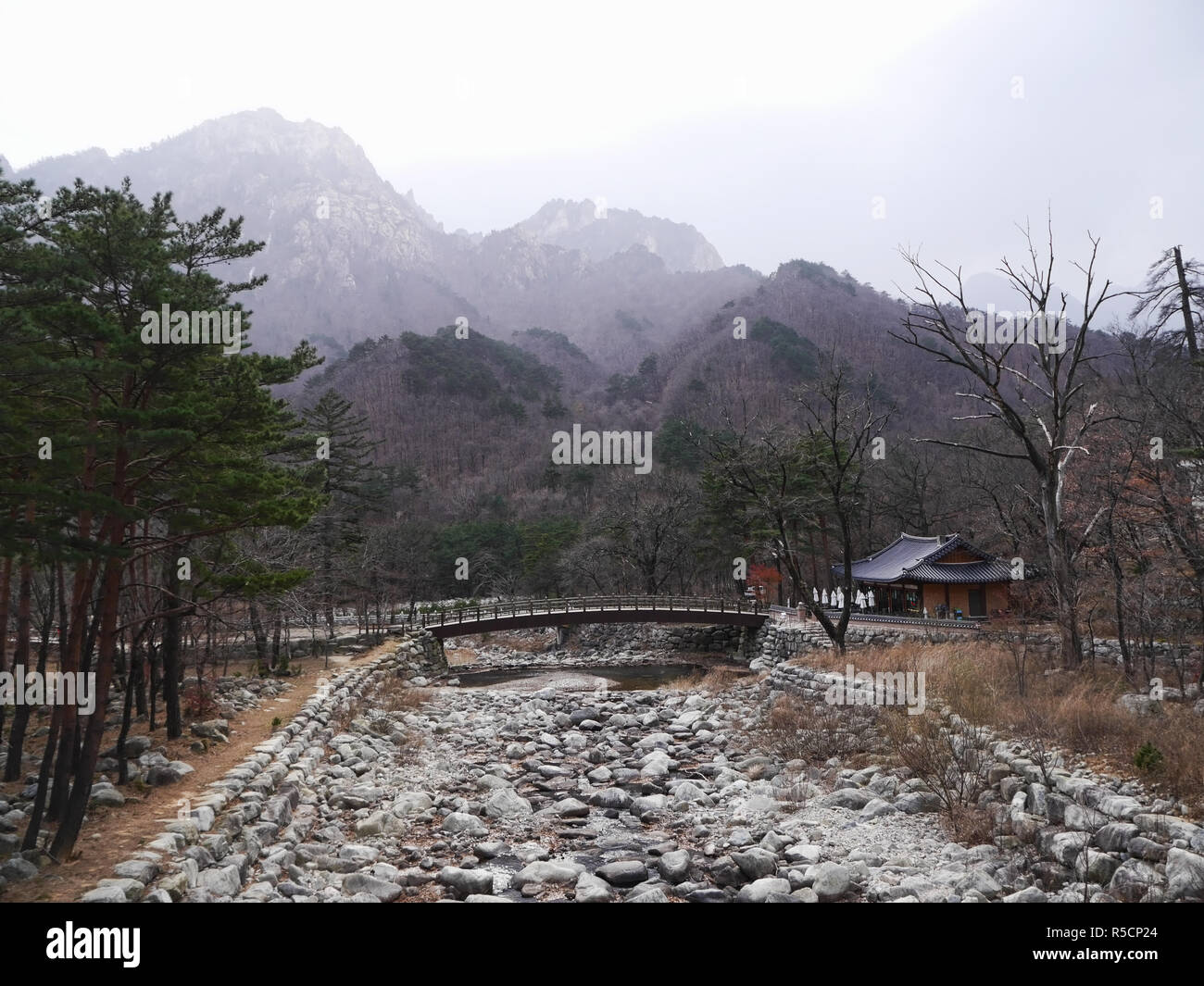 Il piccolo ponte in Seoraksan National Park. Corea del Sud Foto Stock