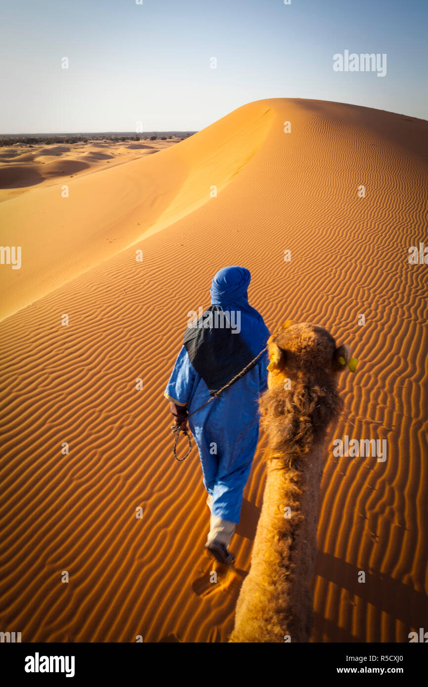 Driver di cammello, il Deserto del Sahara, Merzouga, Marocco, (MR) Foto Stock