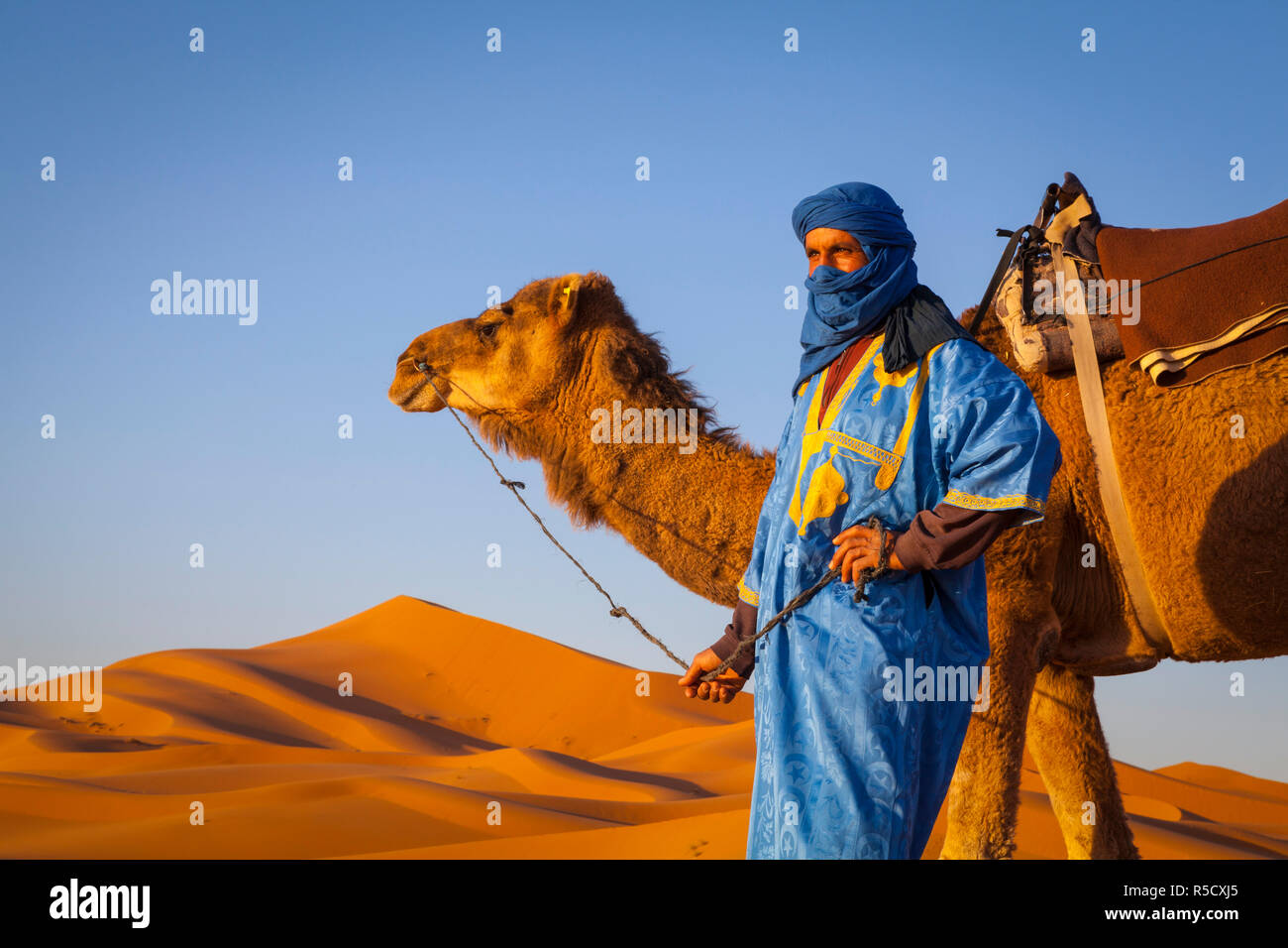 Driver di cammello, il Deserto del Sahara, Merzouga, Marocco, (MR) Foto Stock