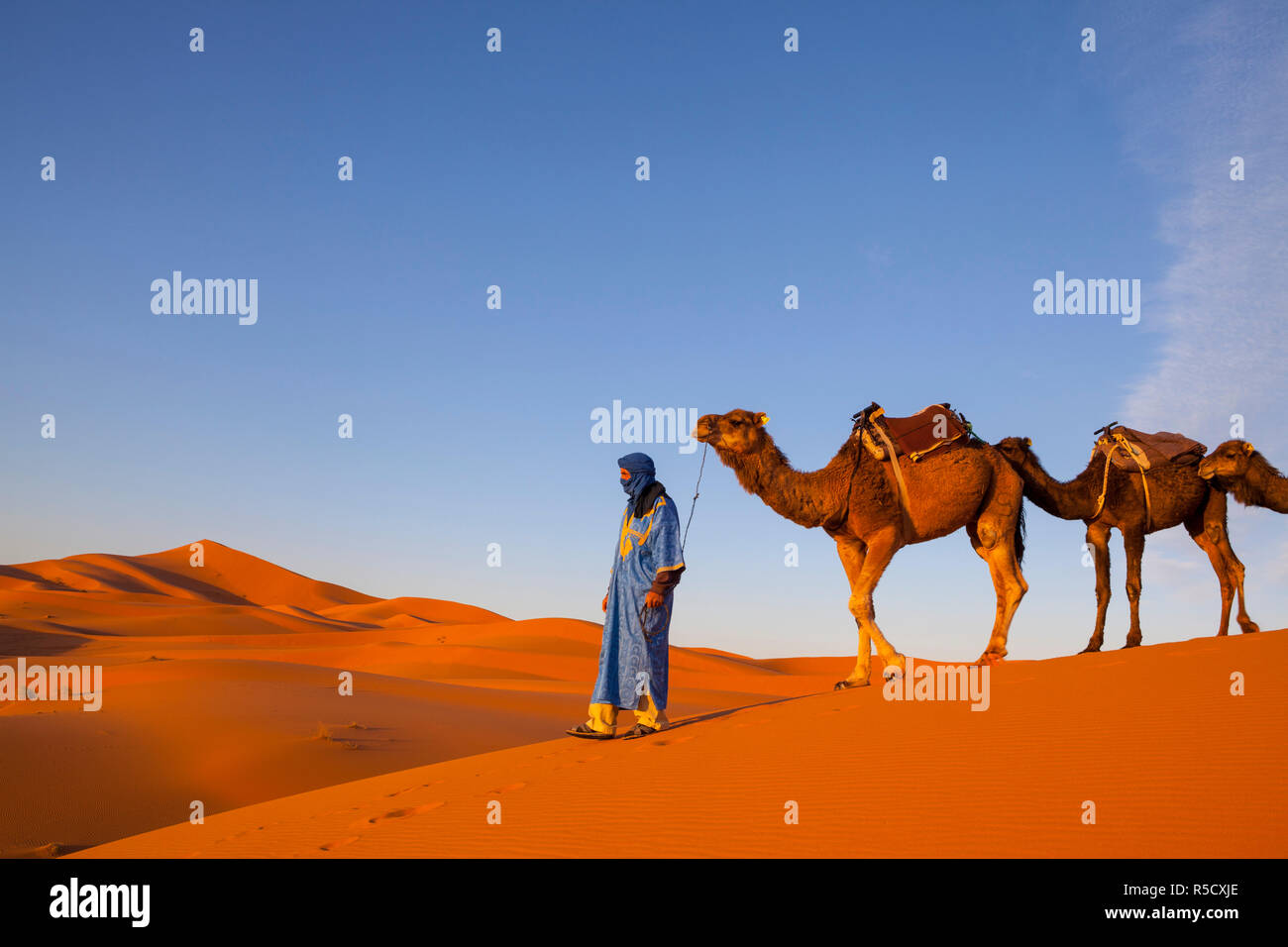 Driver di cammello, il Deserto del Sahara, Merzouga, Marocco, (MR) Foto Stock