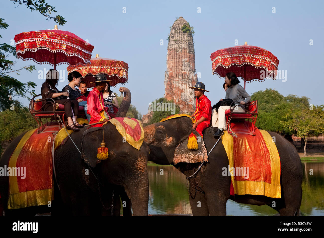 Elefante gite turistiche, Ayutthaya, Thailandia Foto Stock
