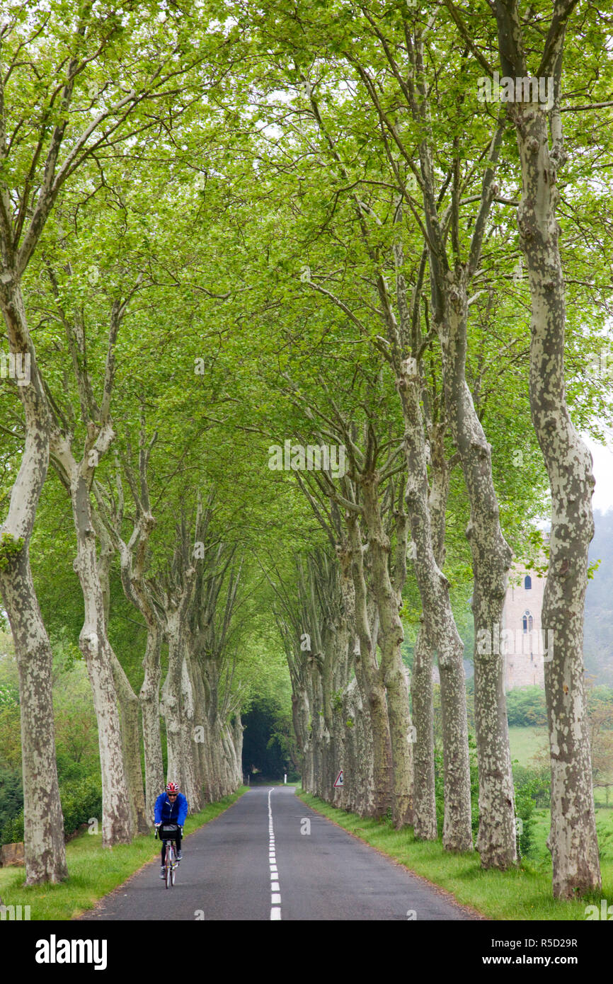 France, Languedoc-Roussillon, Aude, Saint Hilaire, scena stradale nei pressi di Arques Foto Stock