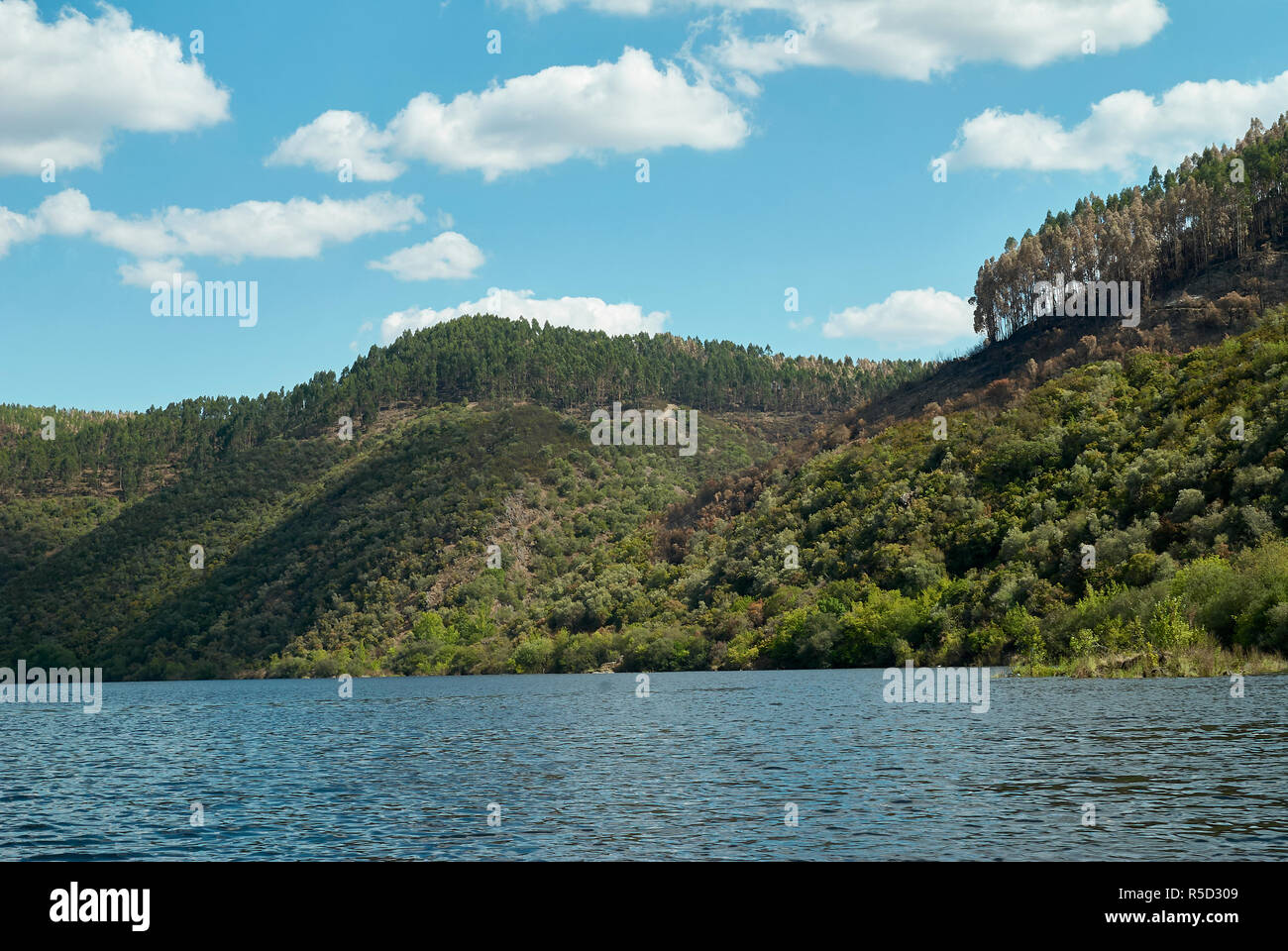 Paesaggio fluviale Foto Stock