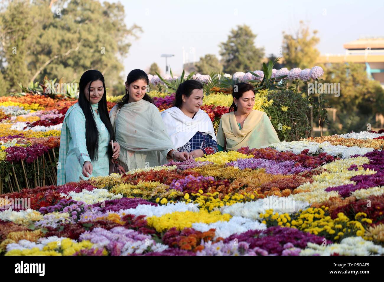 (181201) -- ISLAMABAD, 1 dicembre, 2018 (Xinhua) -- la gente visita il crisantemo e autunno fiori mostrano a Islamabad, la capitale del Pakistan, su nov. 30, 2018. La 39th crisantemo e autunno Flower Show ha dato dei calci a fuori il venerdì a Islamabad. (Xinhua/Ahmad Kamal)(yy) Foto Stock