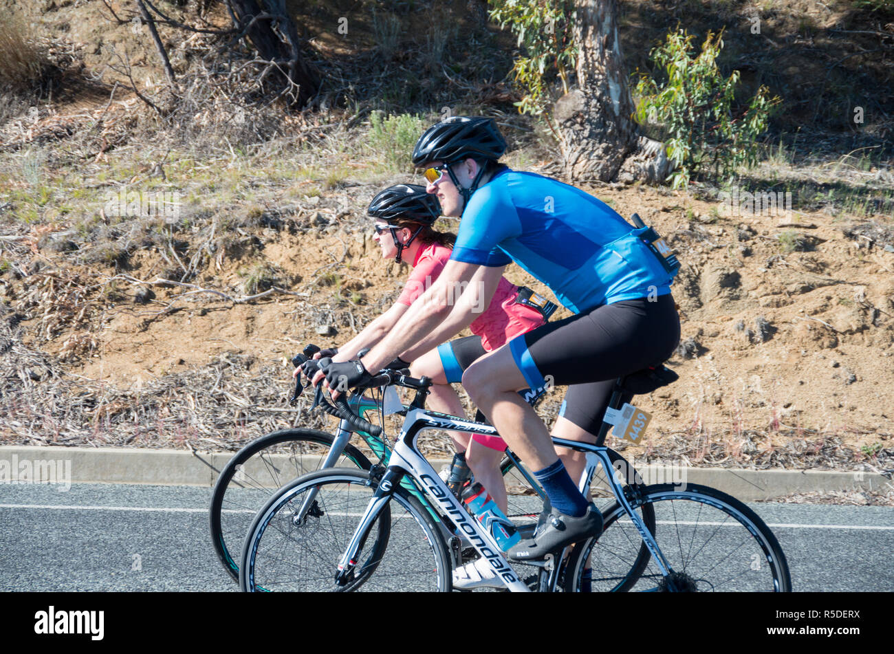 Oriente Jindabyne, Australia - 1 Dicembre 2018: Side Shot di ciclisti su un alto colle sezione Credito: Blue Pebble/Alamy Live News Foto Stock