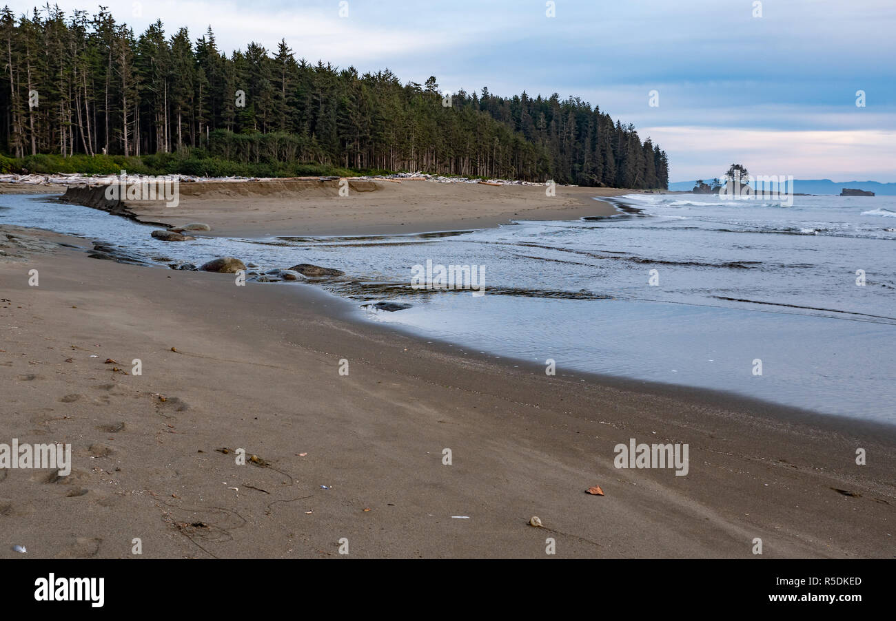 Spiaggia di sabbia lungo la costa della West Coast Trail sull'Isola di Vancouver, British Columbia, Canada Foto Stock