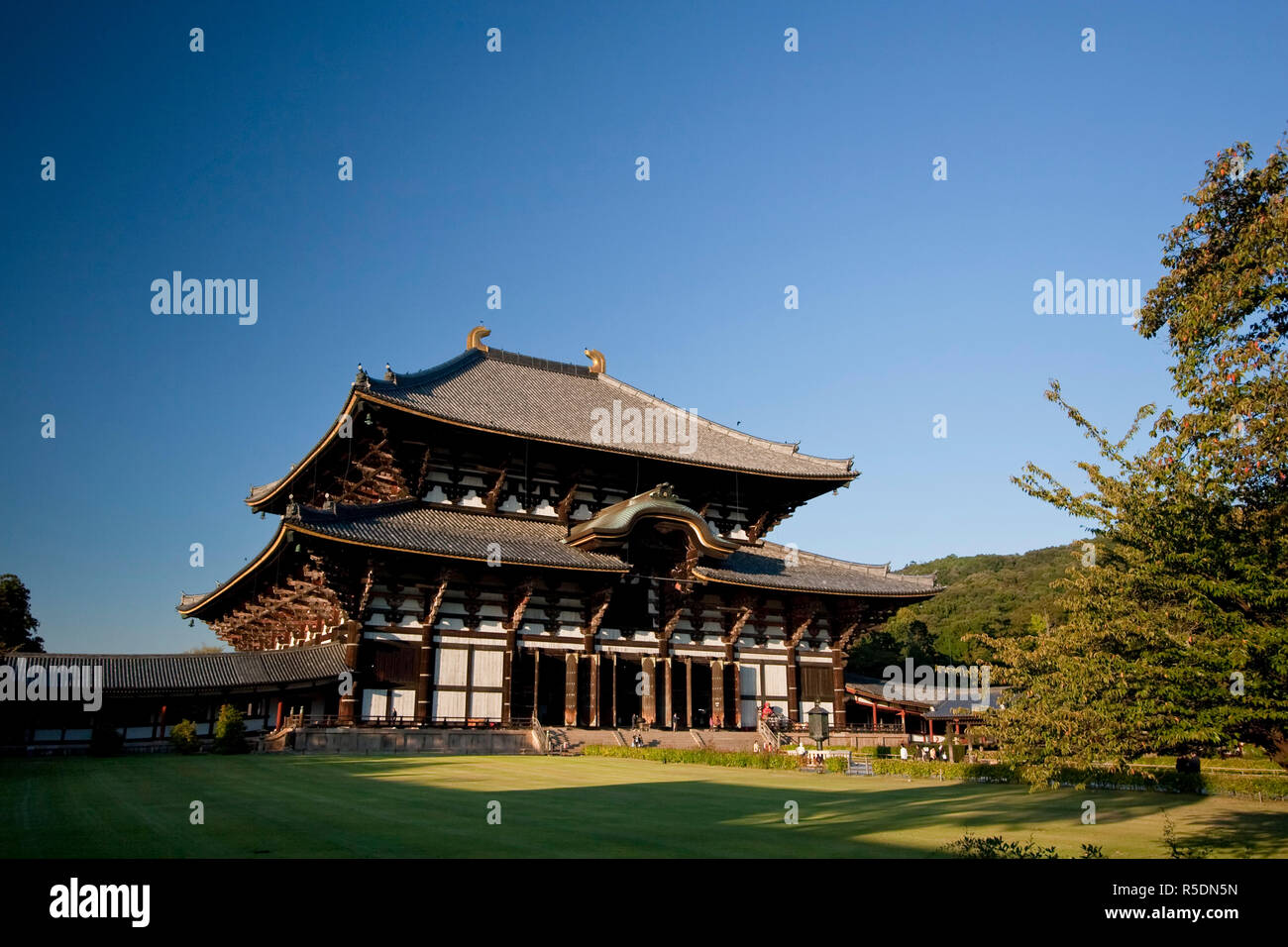 Giappone, isola di Honshu, Nara, Todai-Ji tempio, Daibutsu-den HALL (Hall del Grande Budda) Foto Stock