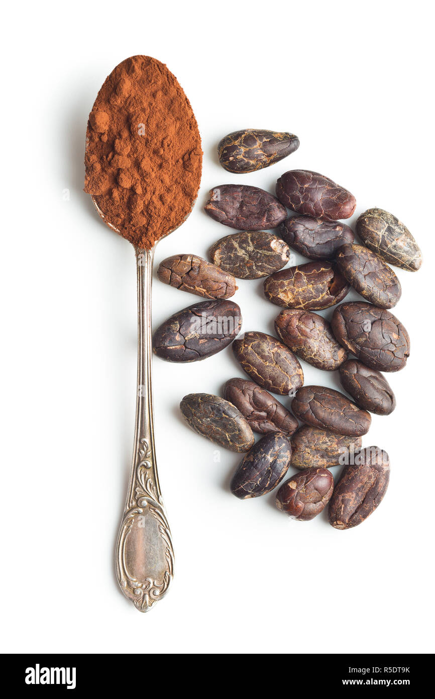 Cacao in polvere e fagioli in cucchiaio. Foto Stock
