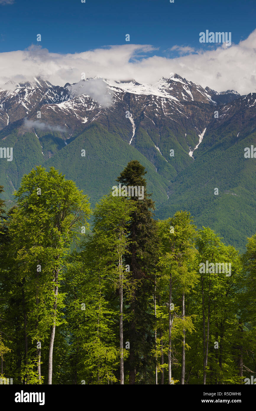 Russia, montagne del Caucaso, Area Sochi, Krasnaya Polyana, giostra, montagna paesaggio di montagna Foto Stock