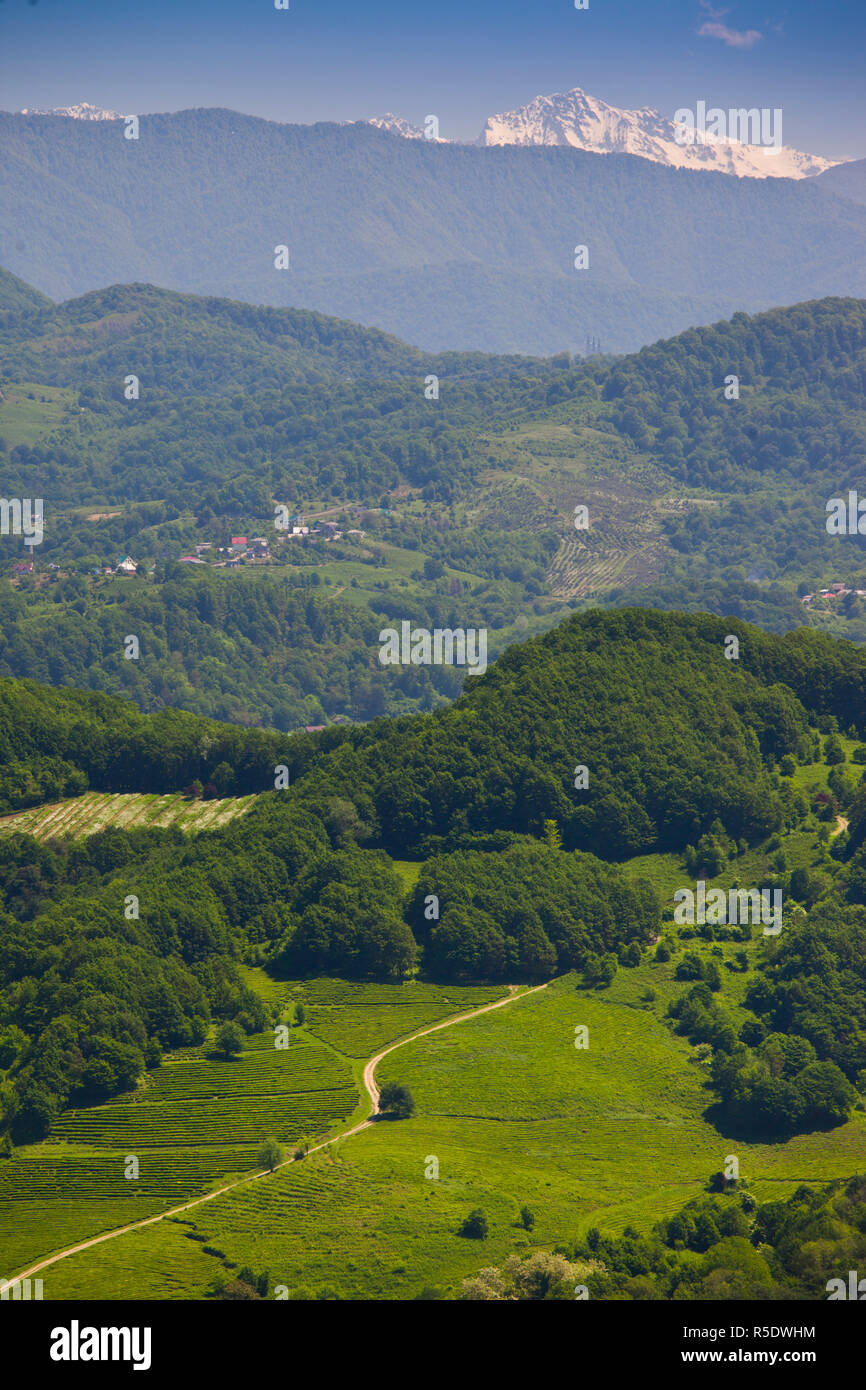 Russia, il litorale del Mar Nero, Sochi-zona, Dagomys Foto Stock
