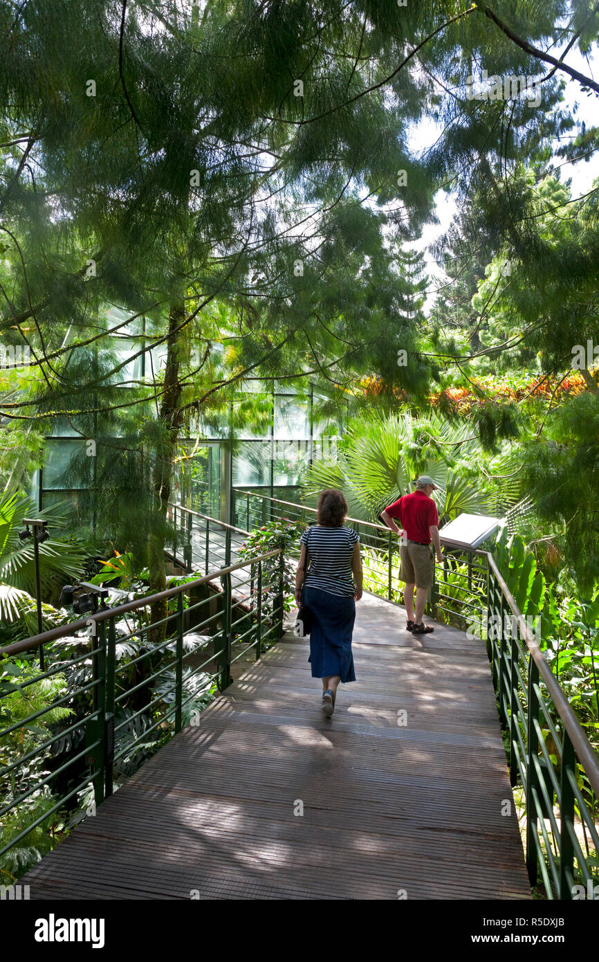 Coolhouse, i Giardini Botanici di Singapore, Singapore Foto Stock