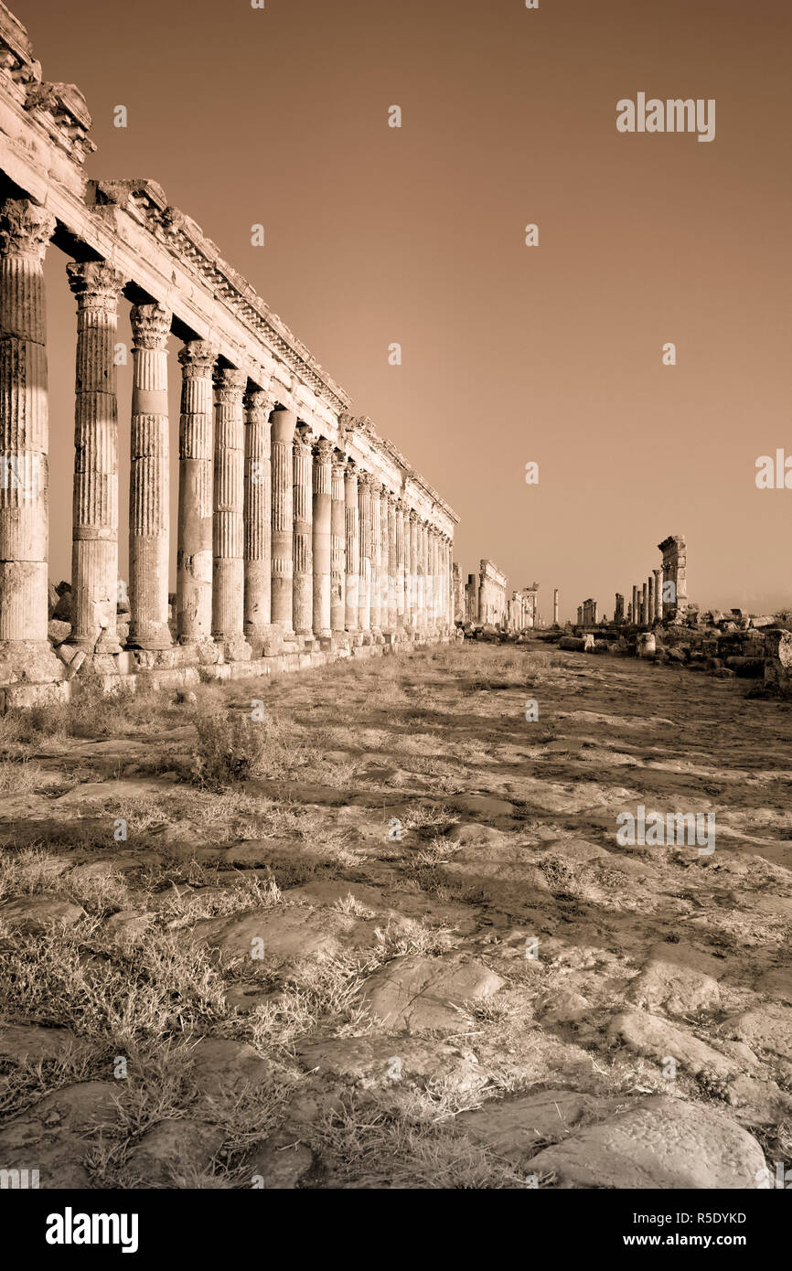 Siria, Apamea (Afamia) Sito Archeologico (fondata nel III secolo a.C.), 2km Cardo (Colonnato Romano Strada Principale) Foto Stock