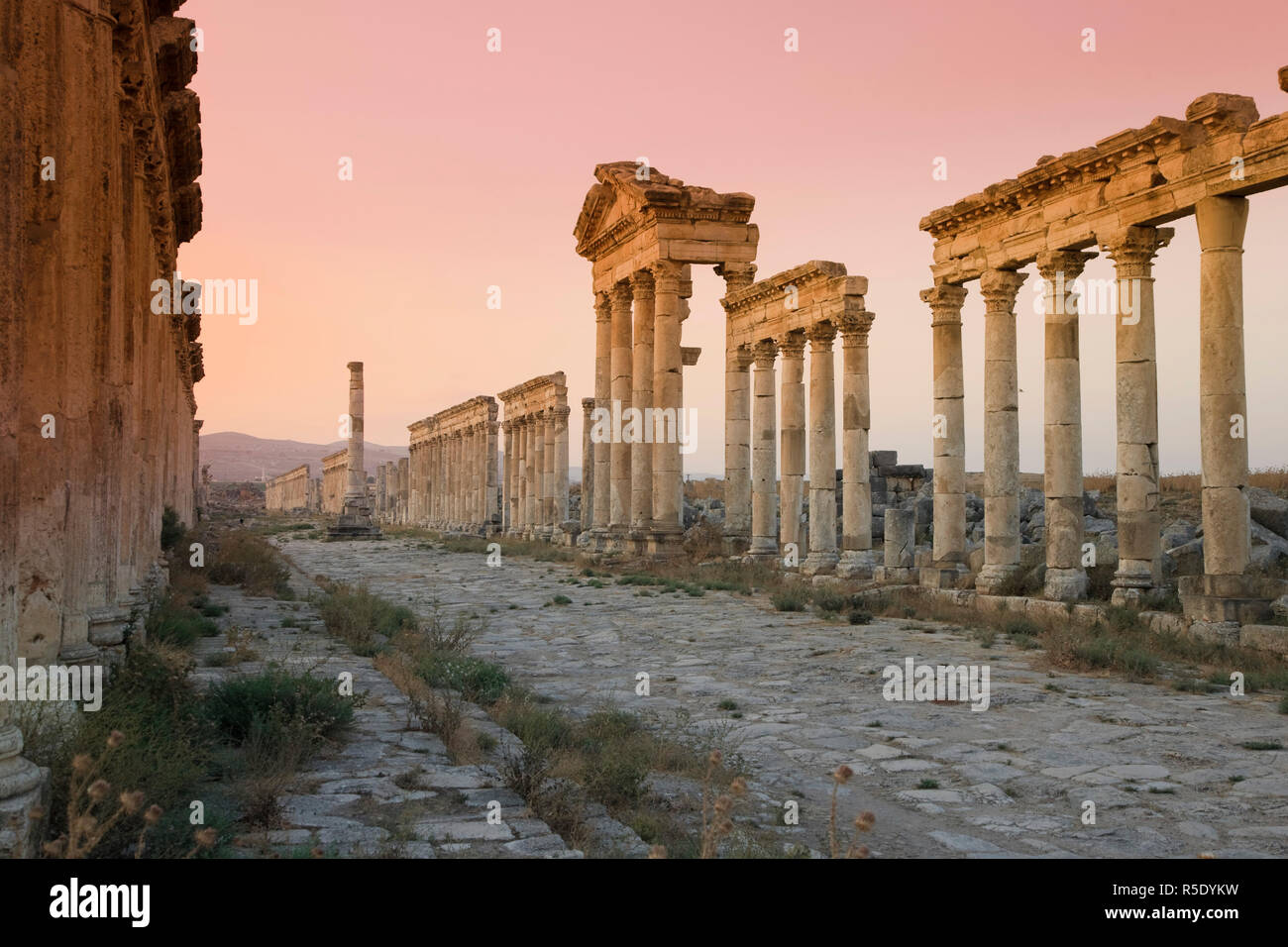Siria, Apamea (Afamia) Sito Archeologico (fondata nel III secolo a.C.), 2km Cardo (Colonnato Romano Main Street) e ninfeo (fontana monumentale) Foto Stock