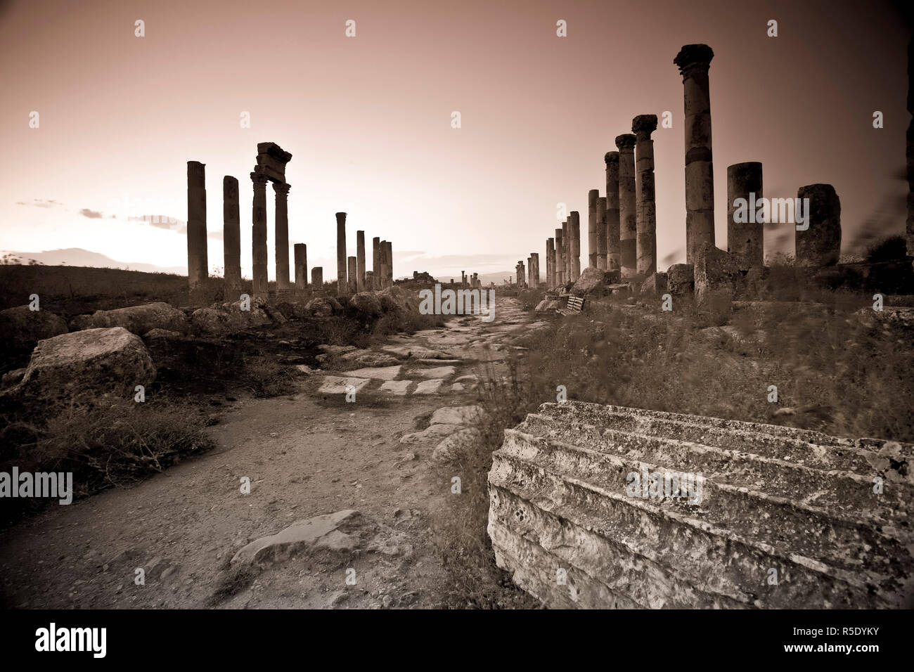 Siria, Apamea (Afamia) Sito Archeologico (fondata nel III secolo a.C.), 2km Cardo (Colonnato Romano Strada Principale) Foto Stock