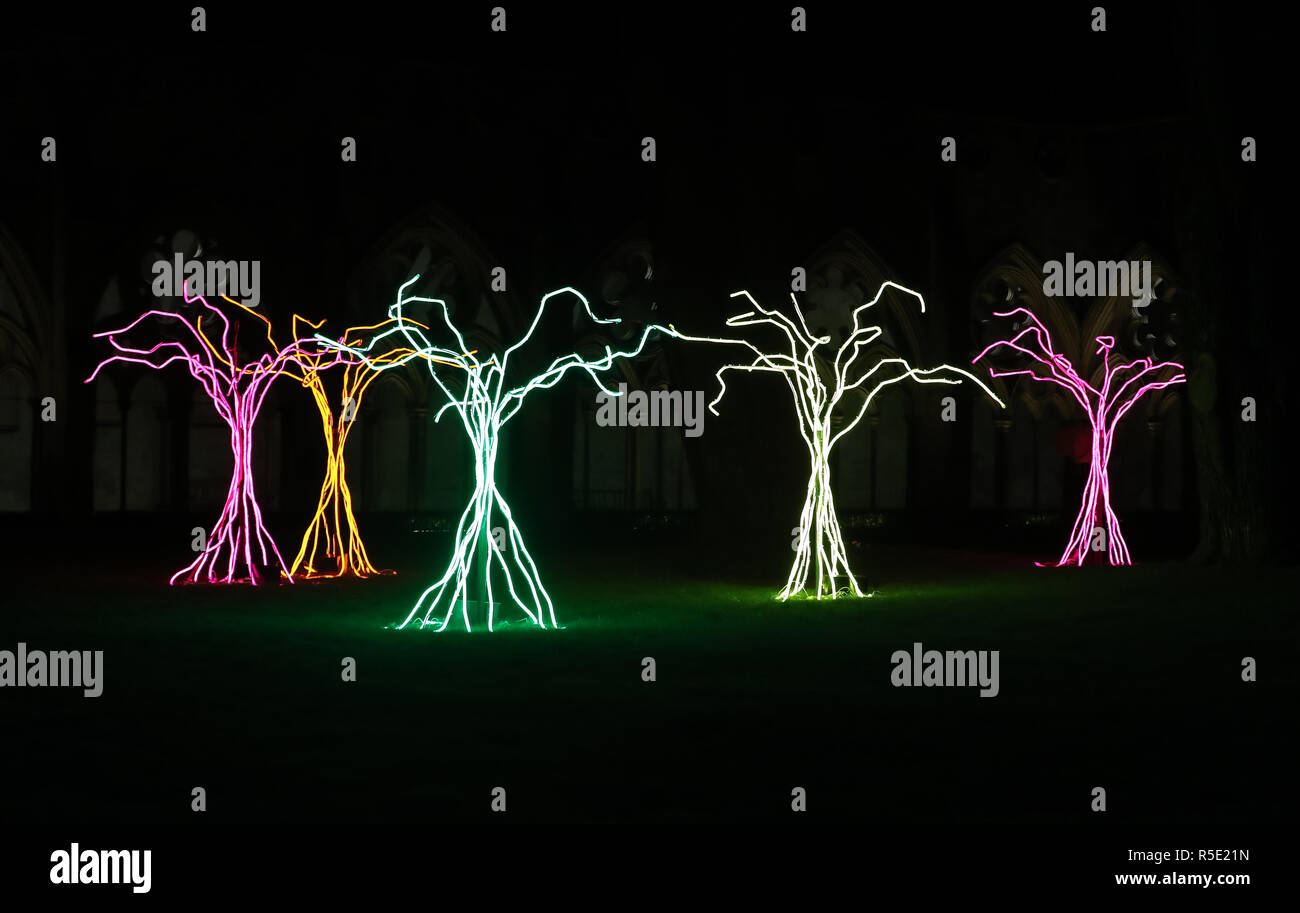 5 albero come strutture che compongono il pezzo di arte 'LUMEN', sedersi nel chiostro garth, in occasione del lancio della Cattedrale di Salisbury si illumina Avvento installazioni artistiche, intitolato dalle tenebre alla luce. Foto Stock