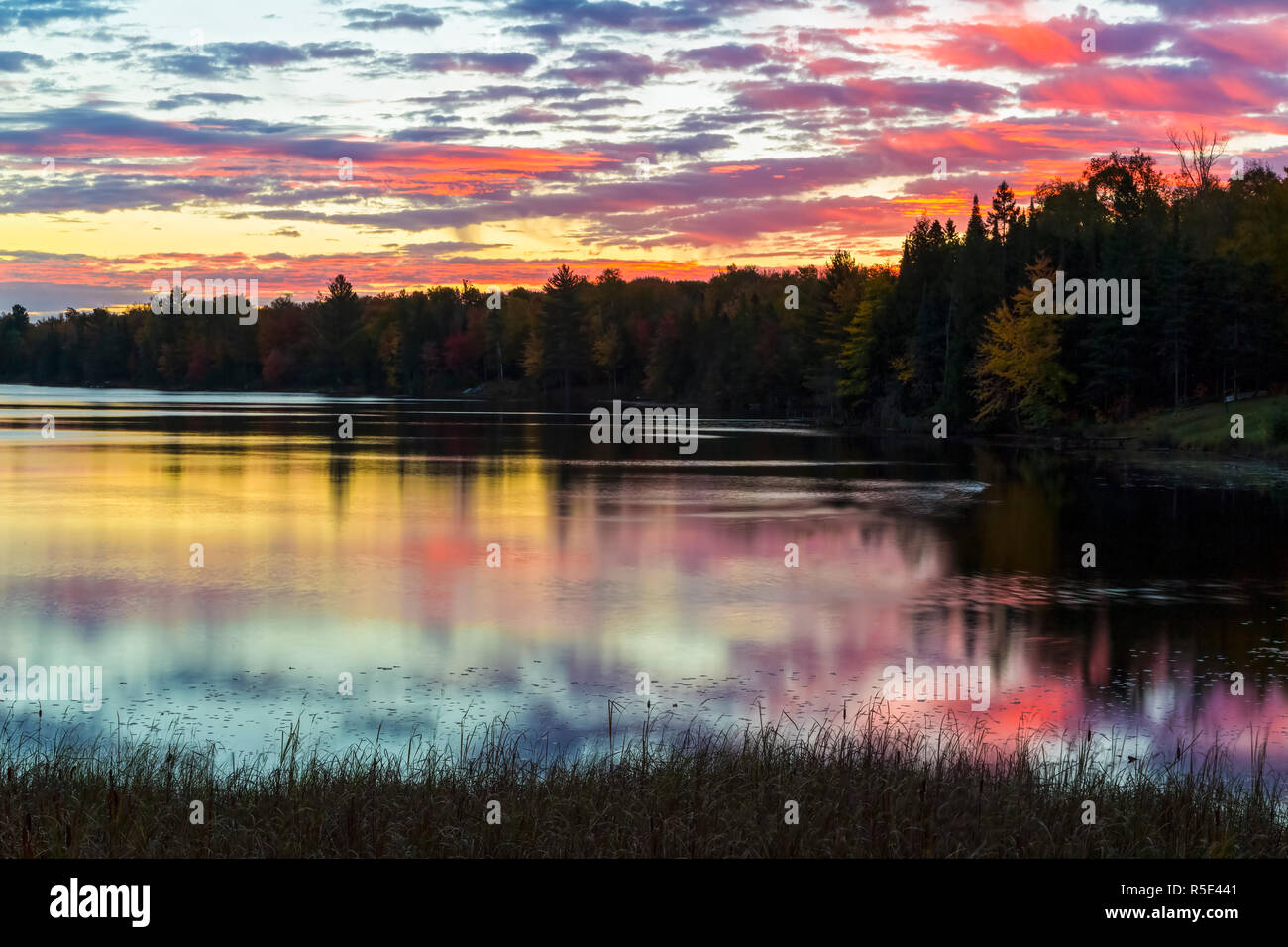 Colori vibranti di un nuvoloso, pre-alba cielo sono riflesse sulla tranquilla e ancora acque di un lago nella Penisola Superiore del Michigan.. Foto Stock