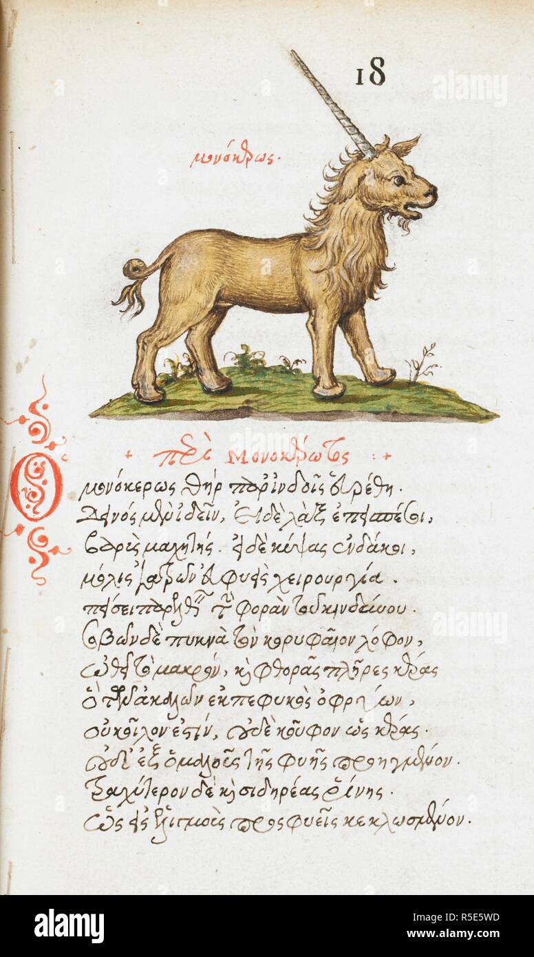 Penna e inchiostro di disegno di un unicorno, con lavaggio colore; rubrication e testo. De animalium proprietate. Secondo quarto del XVI secolo-3a quarto del XVI secolo. Fonte: Burney 97 f.18. Lingua: Greco antico. Autore: Manuel files. Vergetio, Angelo. Foto Stock