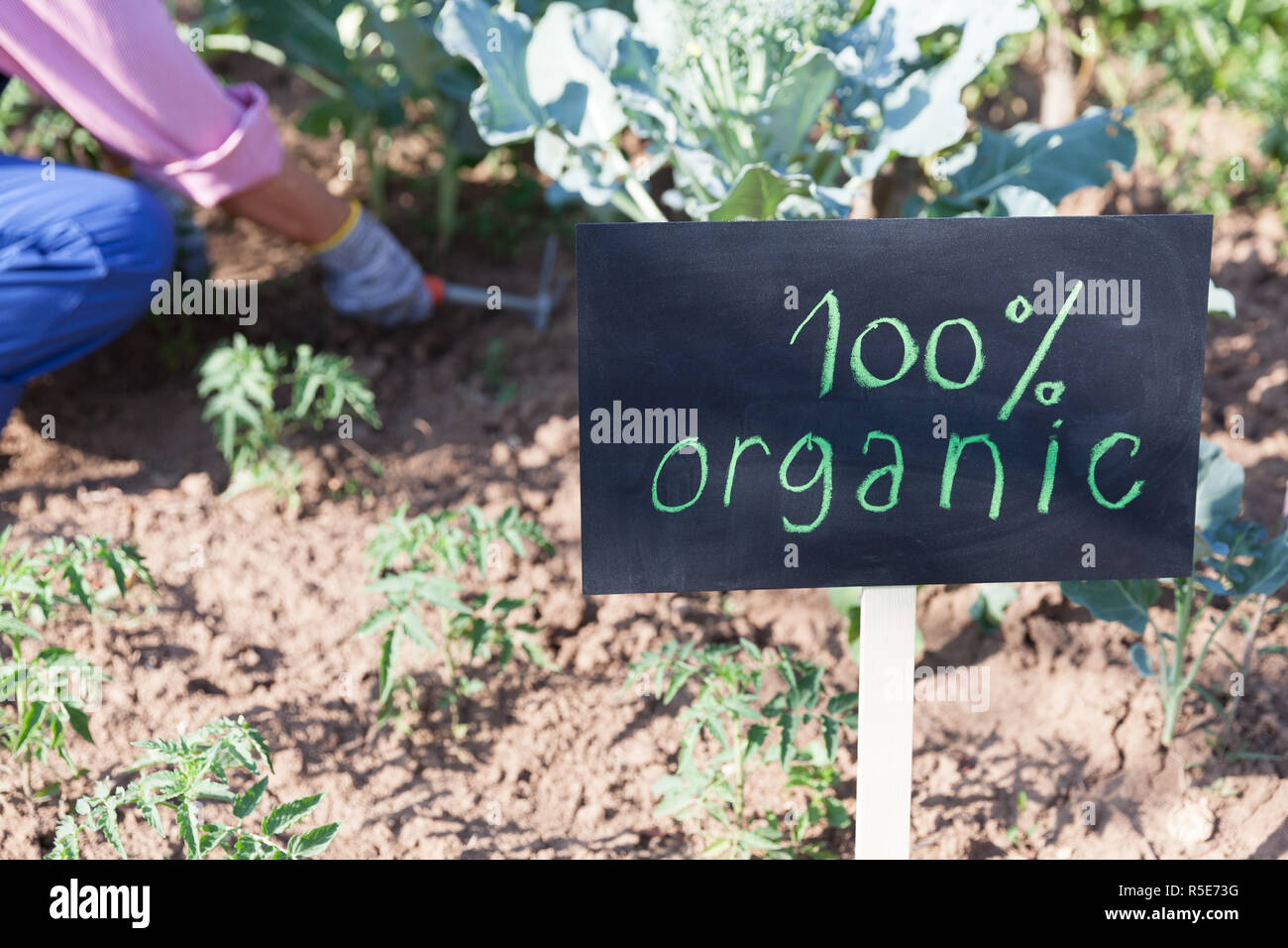 Orto biologico Foto Stock