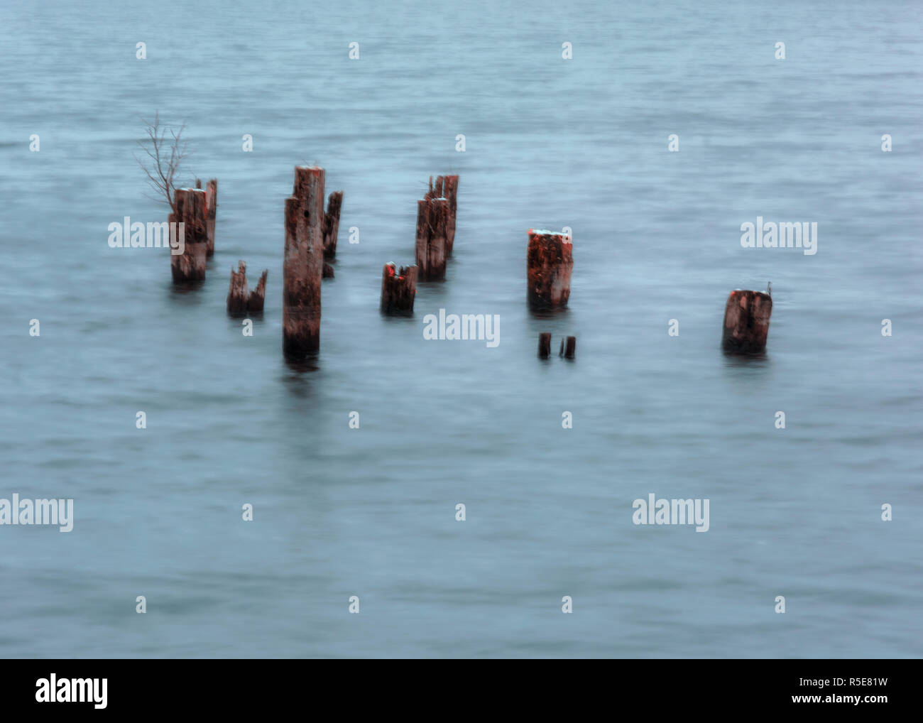I registri di morti in un lago ghiacciato a Göteborg in Svezia Foto Stock