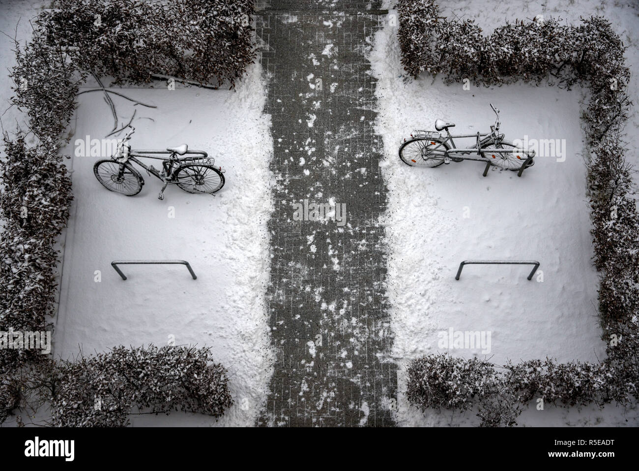 La neve cade durante il periodo invernale in Berlin Foto Stock