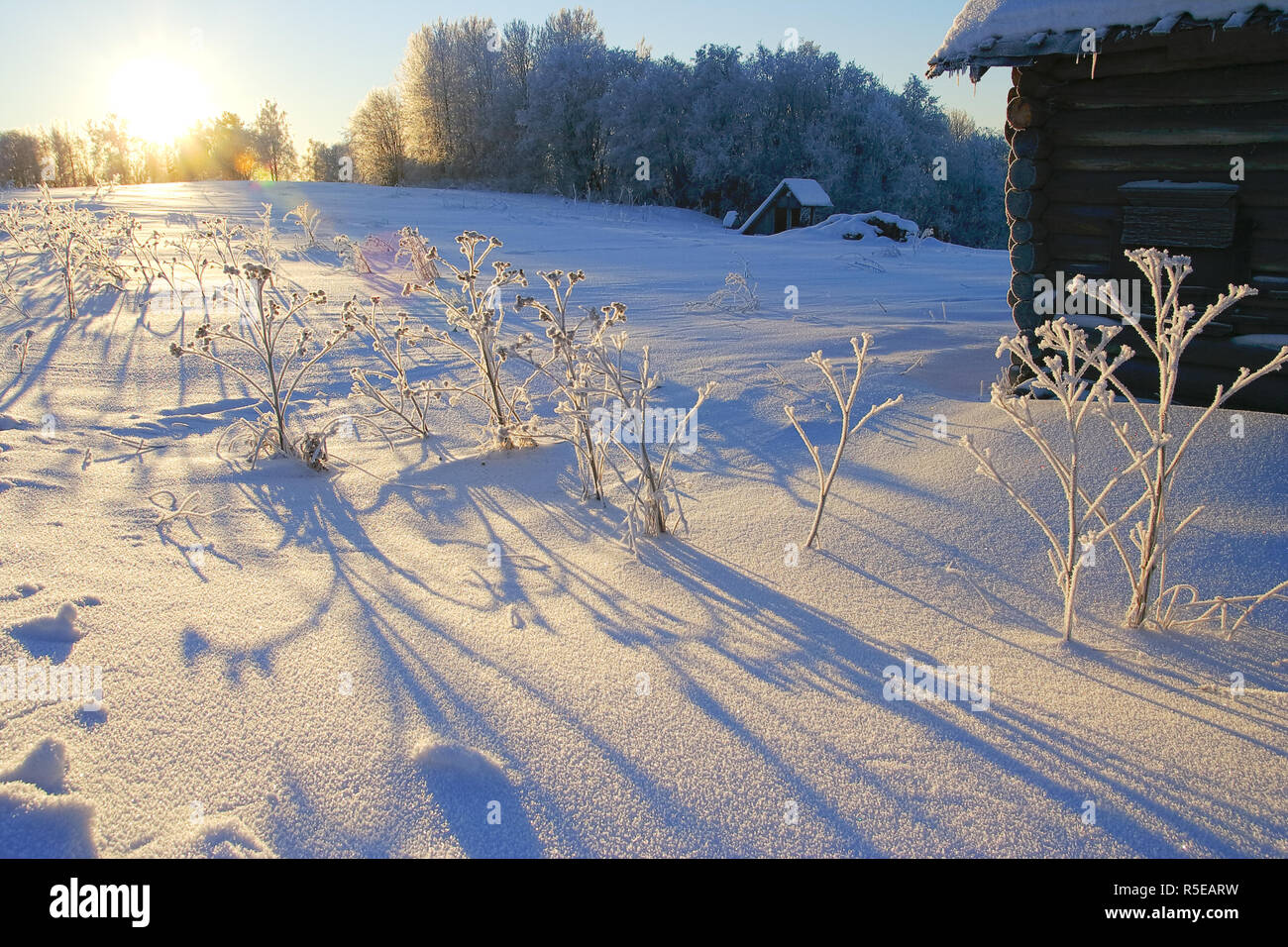 Paesaggio invernale con vecchie case in legno ed erba nella neve profonda e brina nella luce calda del sole con lunghe ombre e lens flare. Foto Stock