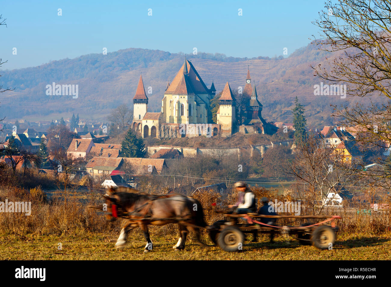 Horse & Cart in rurale scena, Biertan, nr. Sighisoara, Transilvania, Romania Foto Stock