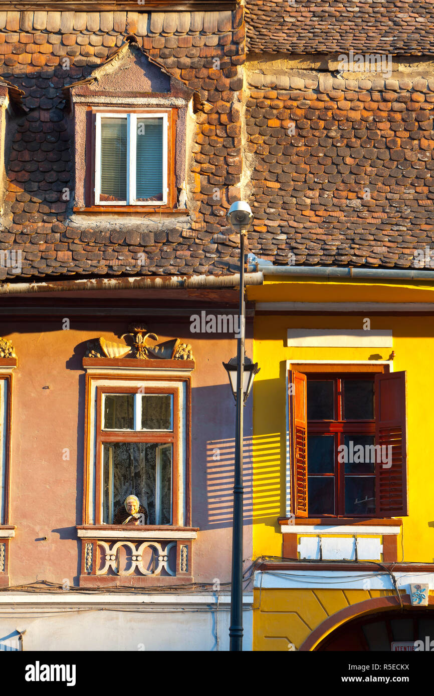 Il vecchio donna alla finestra, Città Vecchia medievale, Sighisoara, Transilvania, Romania Foto Stock