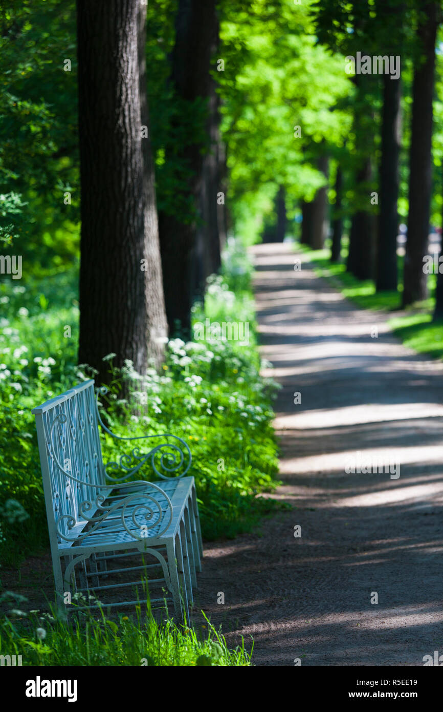 La Russia, San Pietroburgo, Pushkin-Tsarskoye Selo, palazzo motivi Foto Stock