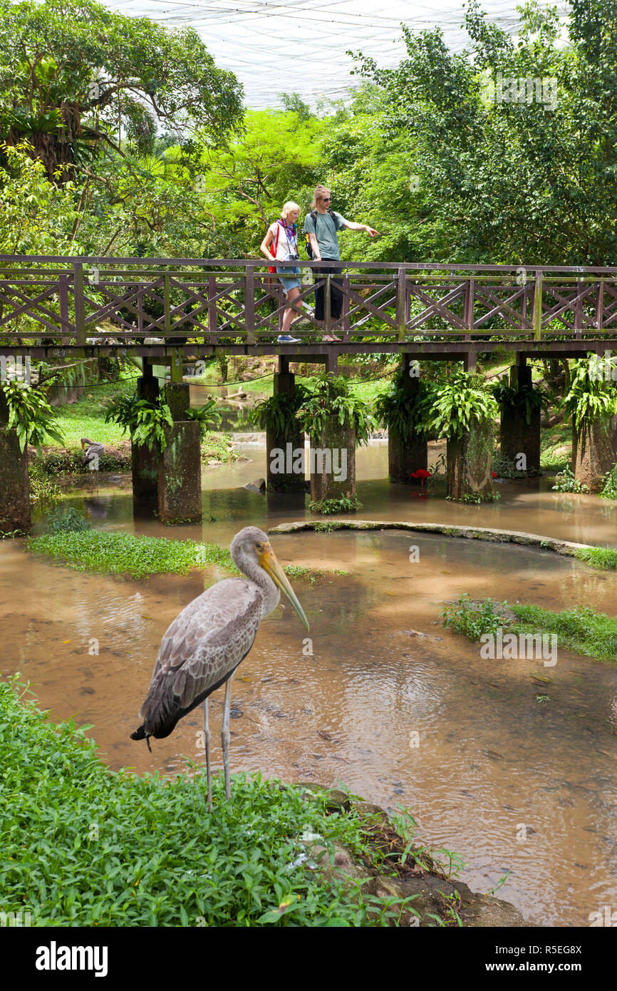 Malaysia, Selangor Stato, Kuala Lumpur, KL Bird Park (MR) Foto Stock