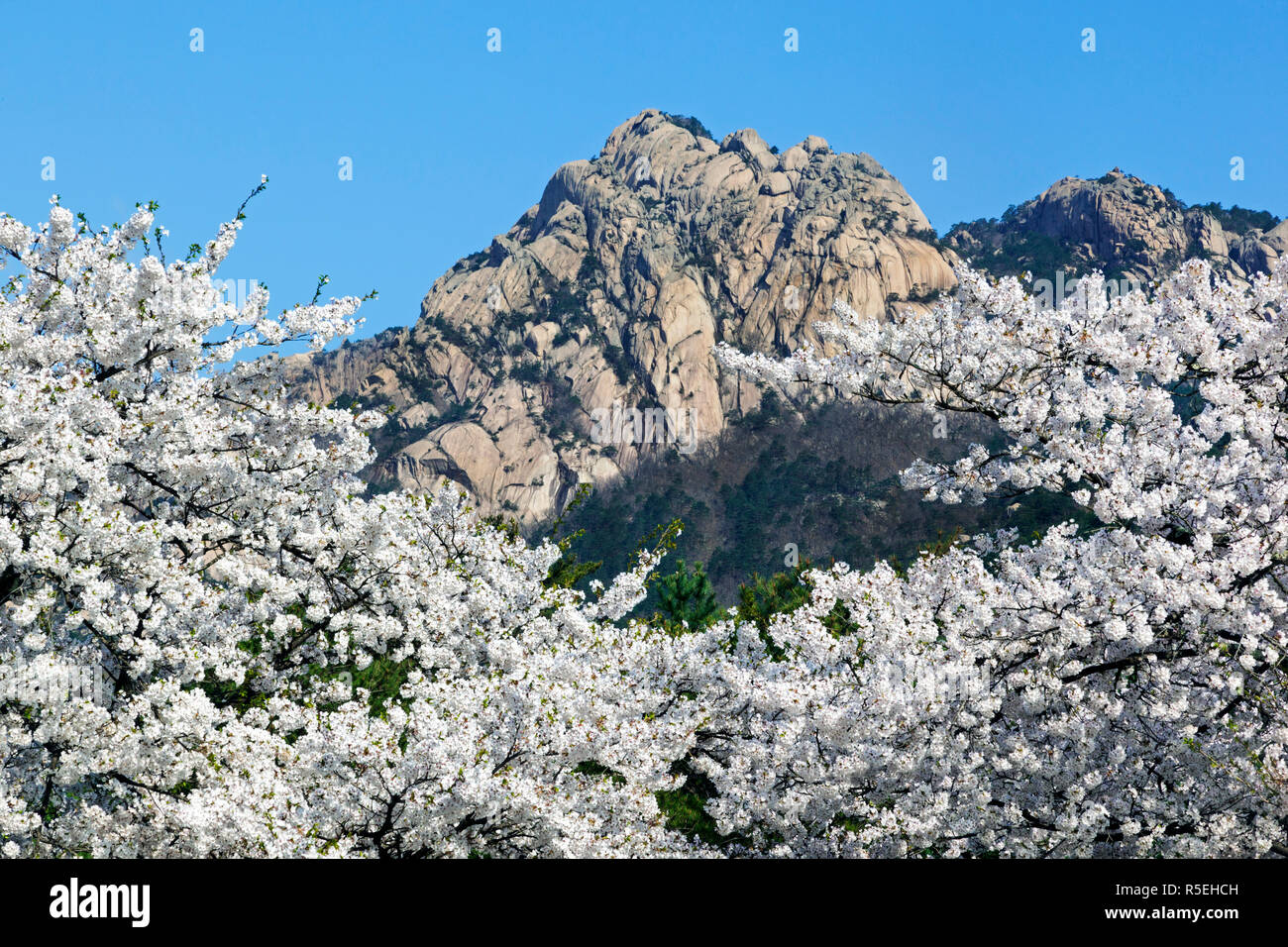 Popoli democratici la Repubblica di Corea (DPRK), la Corea del Nord, Kumgang montagne Foto Stock
