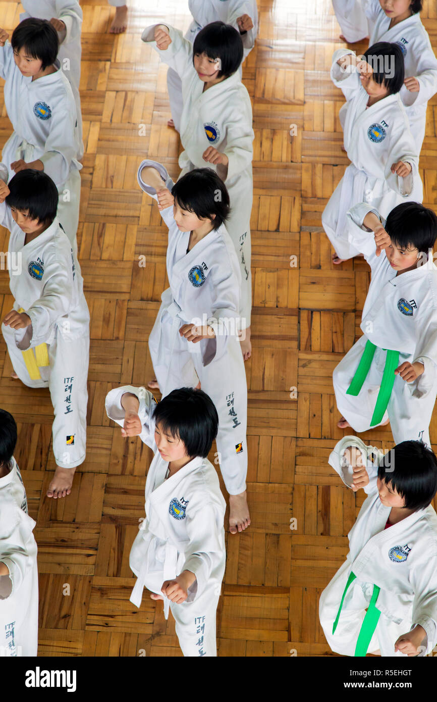 Popoli democratici la Repubblica di Corea (DPRK), Corea del Nord Pyongyang, Mangyongdae scolari's Palace, classe Taekwon-Do Foto Stock