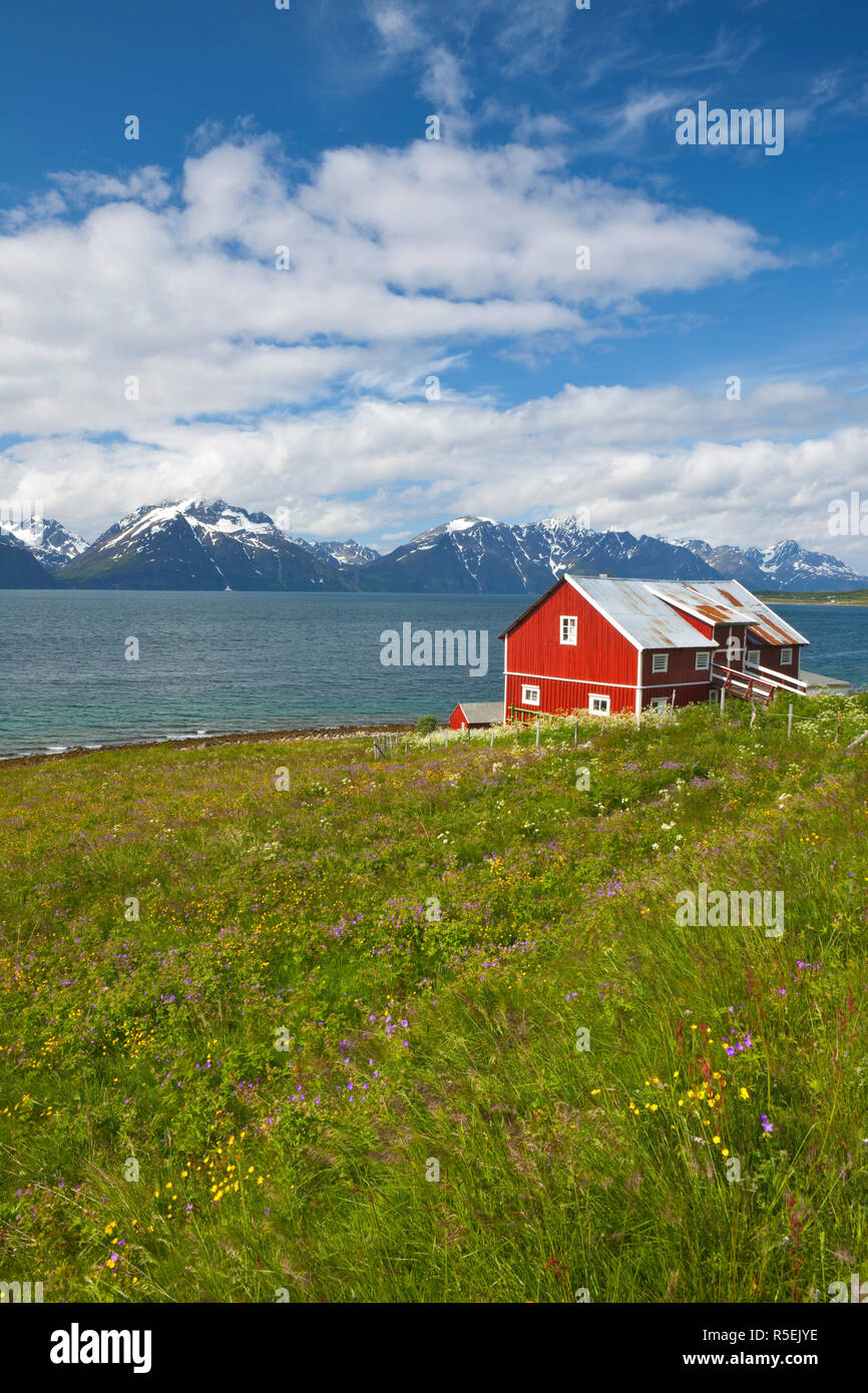 Granaio, fjord & Mountain Range, Djupvik, Lyngen Fjord, Troms, Norvegia Foto Stock