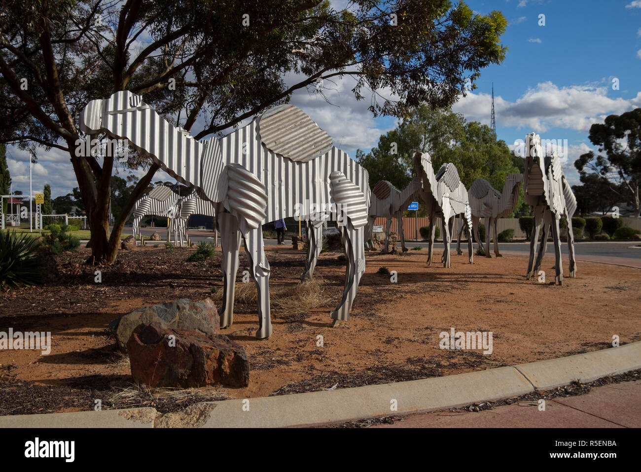 Un set di metallo corrogated camerls nella rotonda principale il Rotary nella piccola cittadina di Norseman in Wester Australia. Foto Stock
