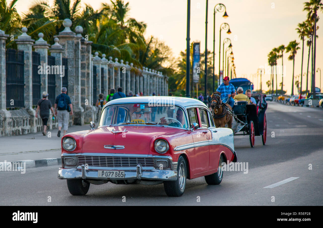 Classic Cars, turisti e carrozze trainate da cavalli sul Malecon al tramonto. Foto Stock