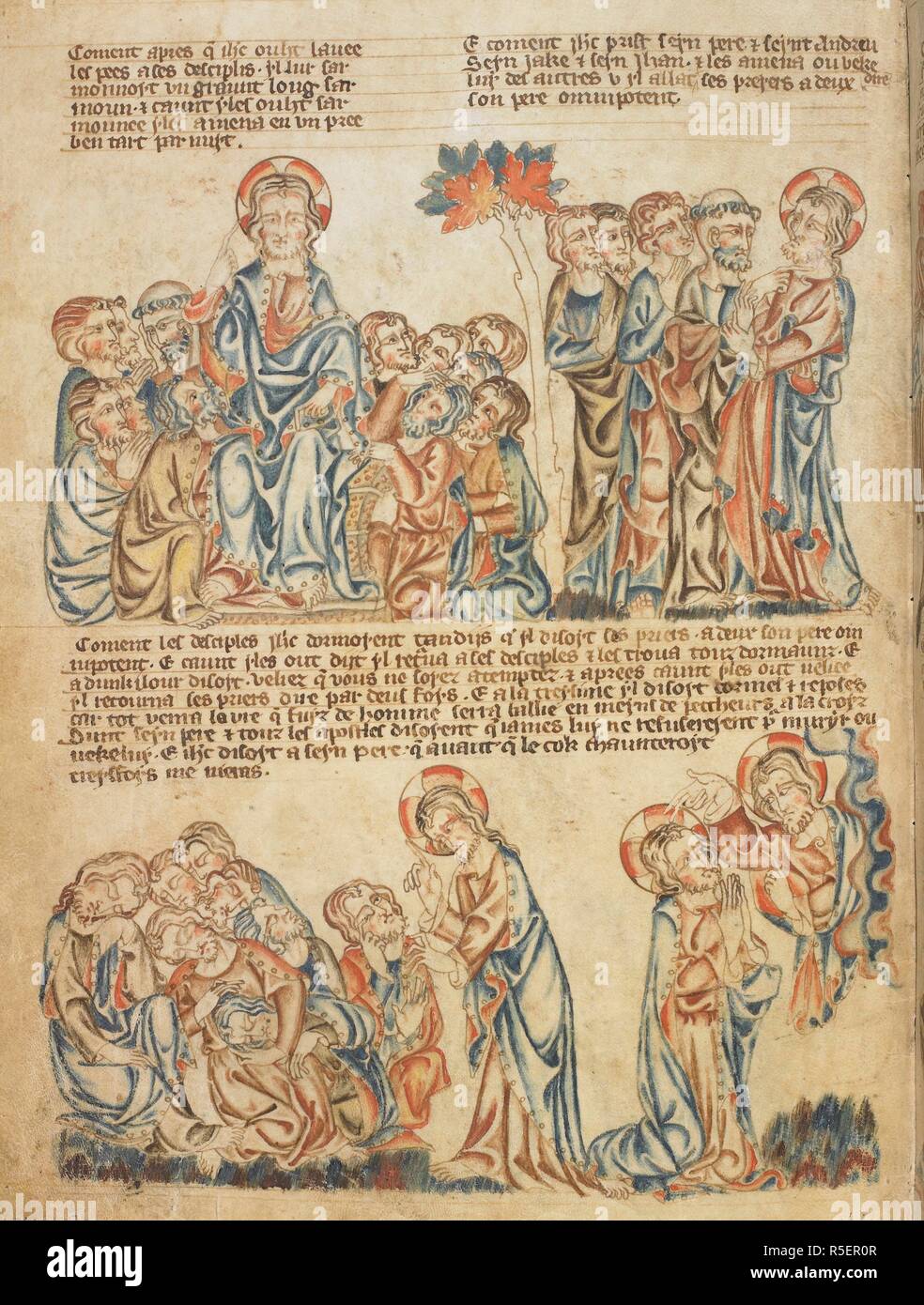 Cristo tra i dodici discepoli; i discepoli dormono nel giardino del Getsemani. Bibbia Holkham Picture Book. Inghilterra, circa 1320-1330. Fonte: Aggiungi. 47682, f.28v. Foto Stock