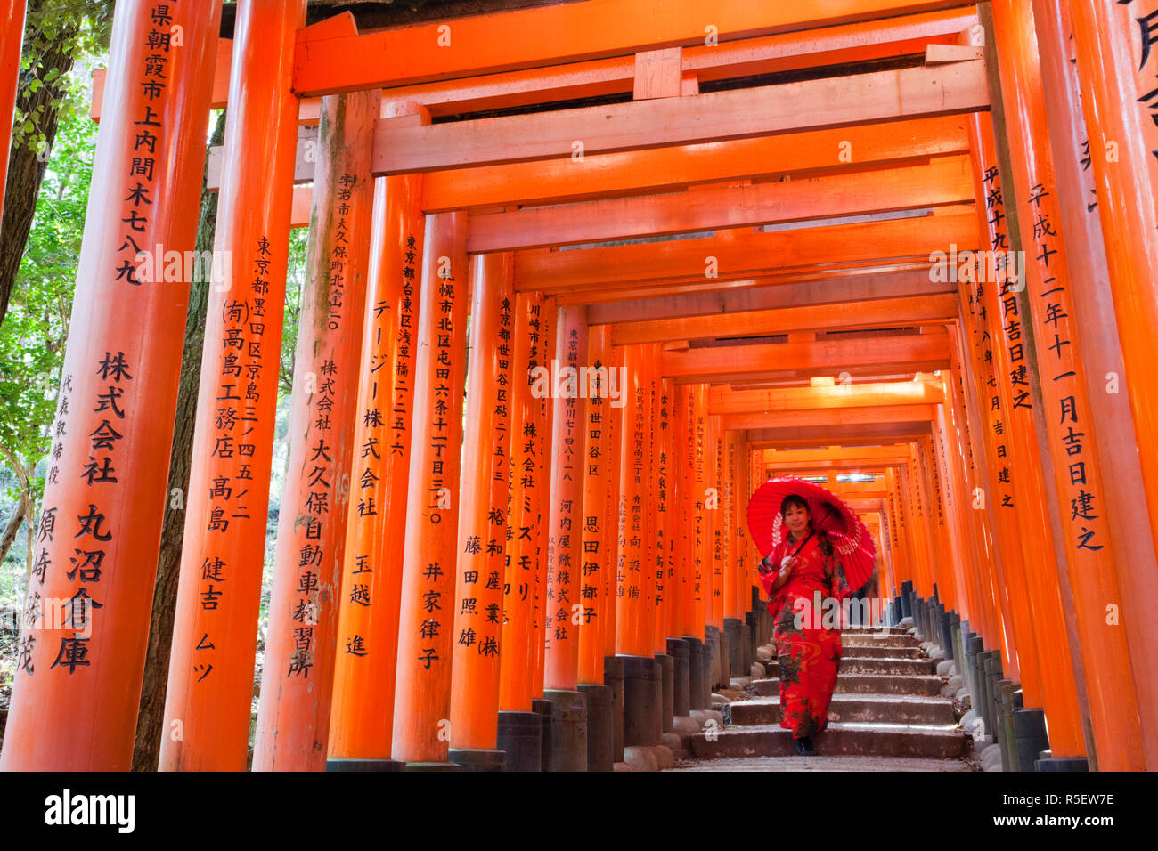 Giappone, Kyoto Fushimi Inari Taisha, Tunnel di Torii Gates Foto Stock