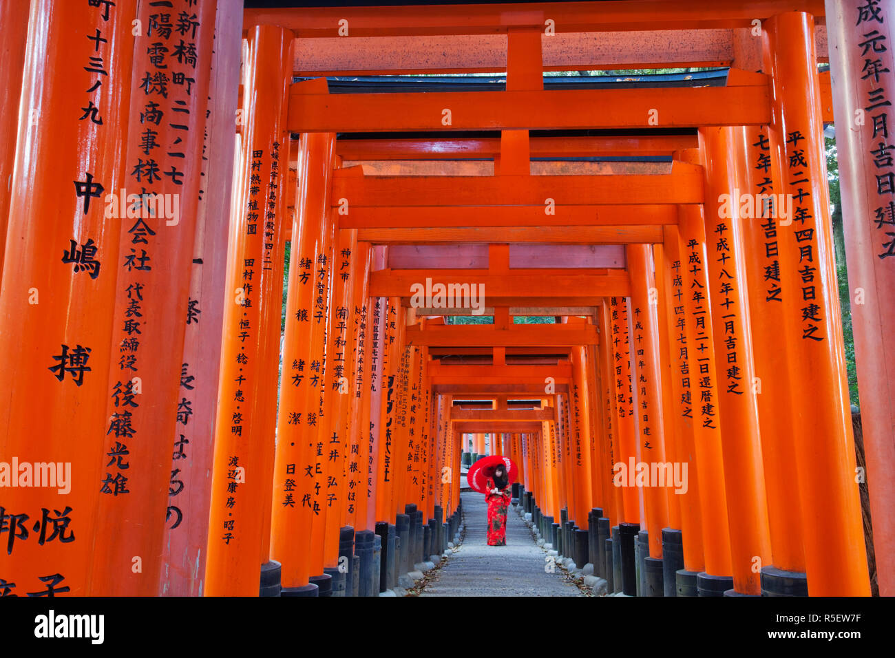Giappone, Kyoto Fushimi Inari Taisha, Tunnel di Torii Gates Foto Stock