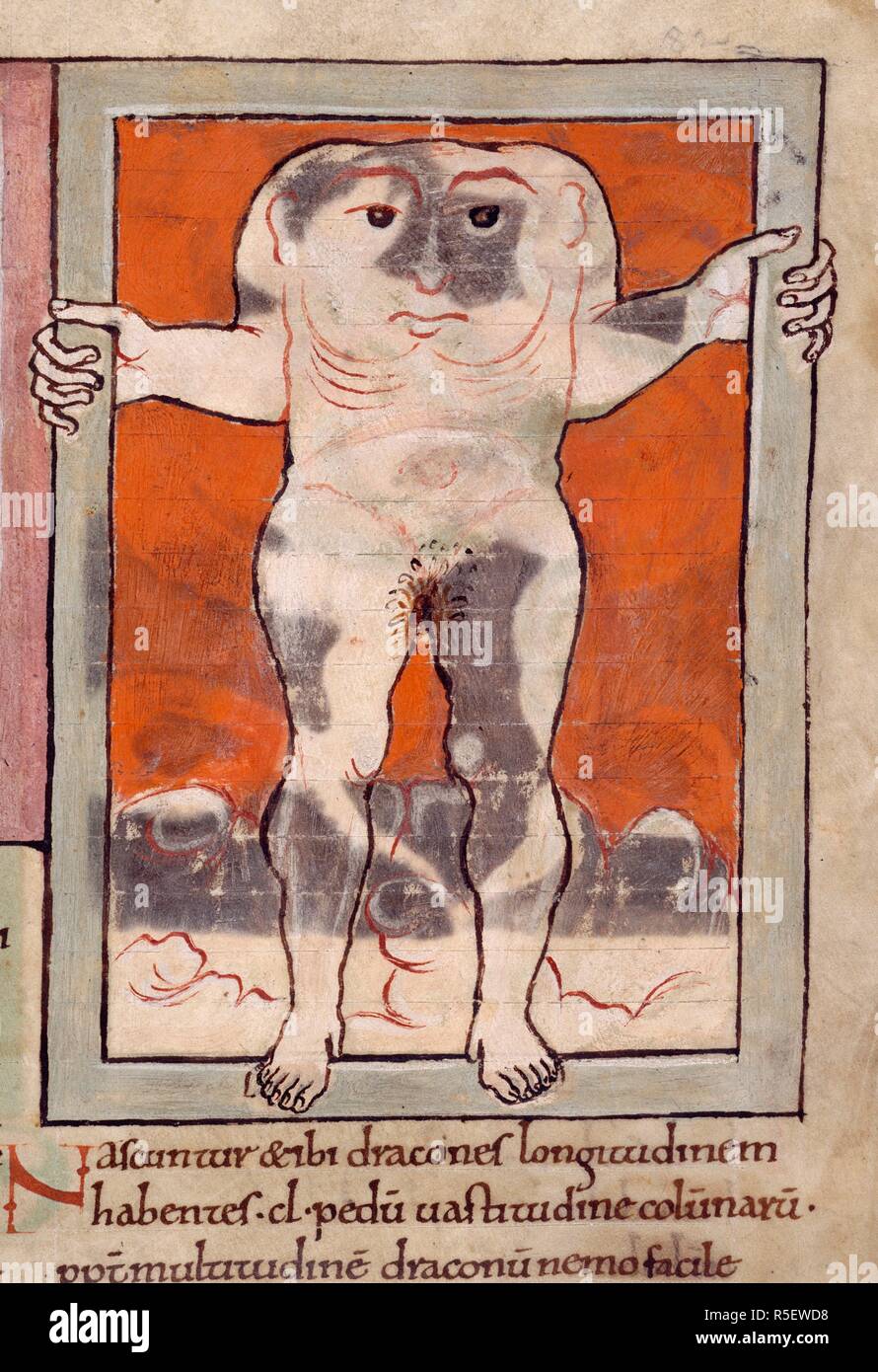 Un Blemmyae. Meraviglie dell'Est. Inghilterra [Winchester?]; secondo trimestre del XI sec.. [RH miniatura] un blemmyae, una testa di uomo con i suoi occhi e bocca nel suo petto; otto piedi alto e otto piedi ampio. Egli tiene i due lati del telaio con entrambe le mani immagine presa da meraviglie dell'Est. Originariamente pubblicato/prodotto in Inghilterra [Winchester?]; secondo trimestre del XI secolo. . Fonte: Cotone Tiberio B. V, parte 1, f.82. Lingue: Latina; inglese antico. Foto Stock