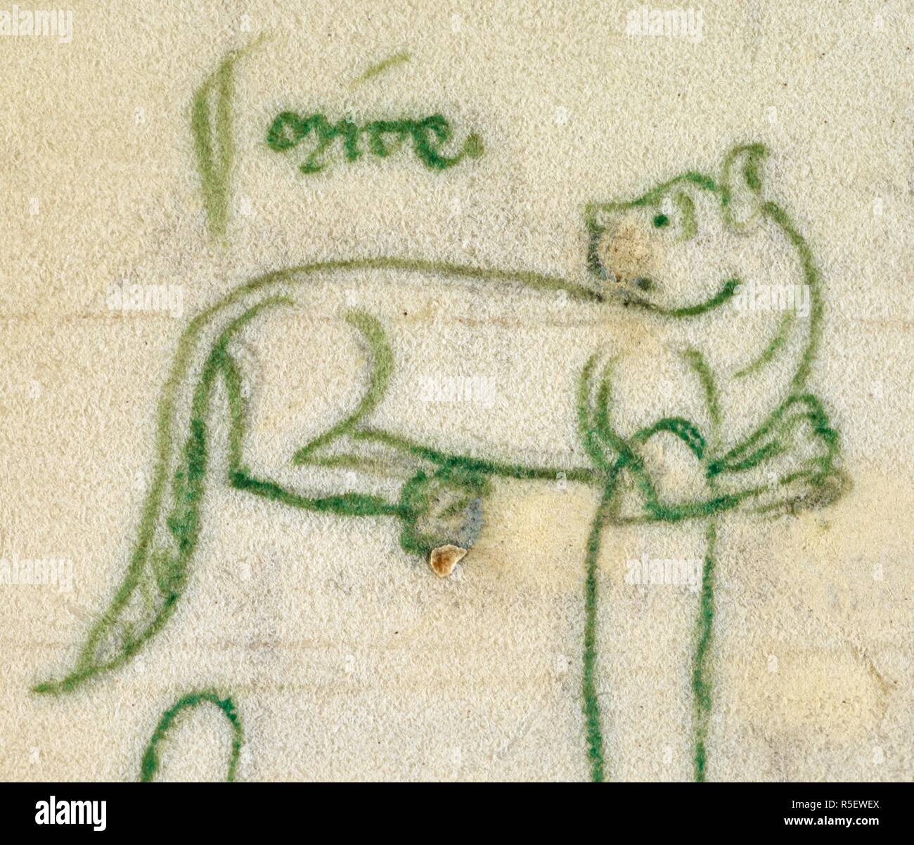 Disegno a matita di un gatto accompagnato dal nome 'ITE'. . Libretto di conto del Cisterician abbazia di Beaulieu. c.1270. Fonte: Aggiungi. 48978 f.47v. Lingue: Latina. Foto Stock