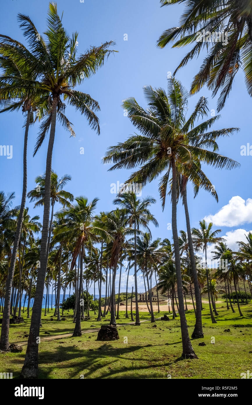 Anakena Palm Beach e Moais statue sito ahu Nao Nao, isola di pasqua Foto Stock