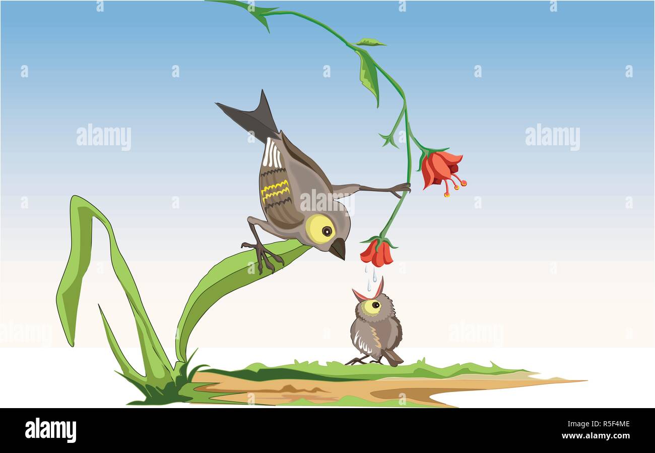 Carino mamma uccello miele di alimentazione diretta dal fiore al bambino uccello-pulcino. Mamma uccello tenta di insegnata la baia bird come ottenere honeyfrom un fiore. Illustrazione Vettoriale