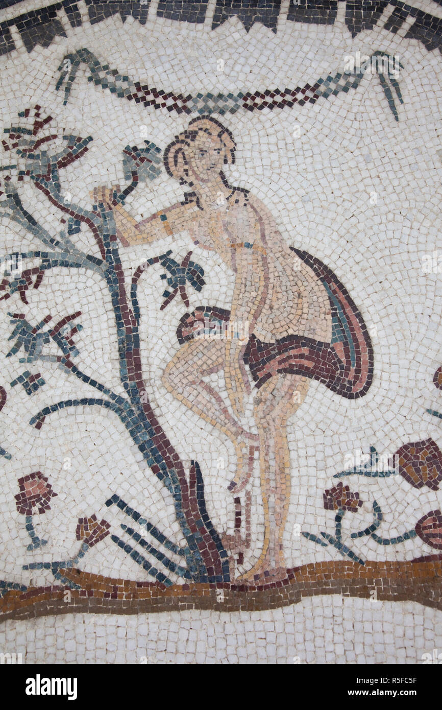 La Tunisia, Central Western Tunisia, Makthar, Rovine dell'di epoca romana città di Mactaris, pannello a mosaico Foto Stock